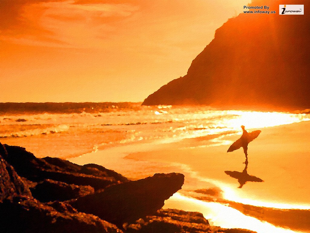 rio de janeiro desktop wallpaper