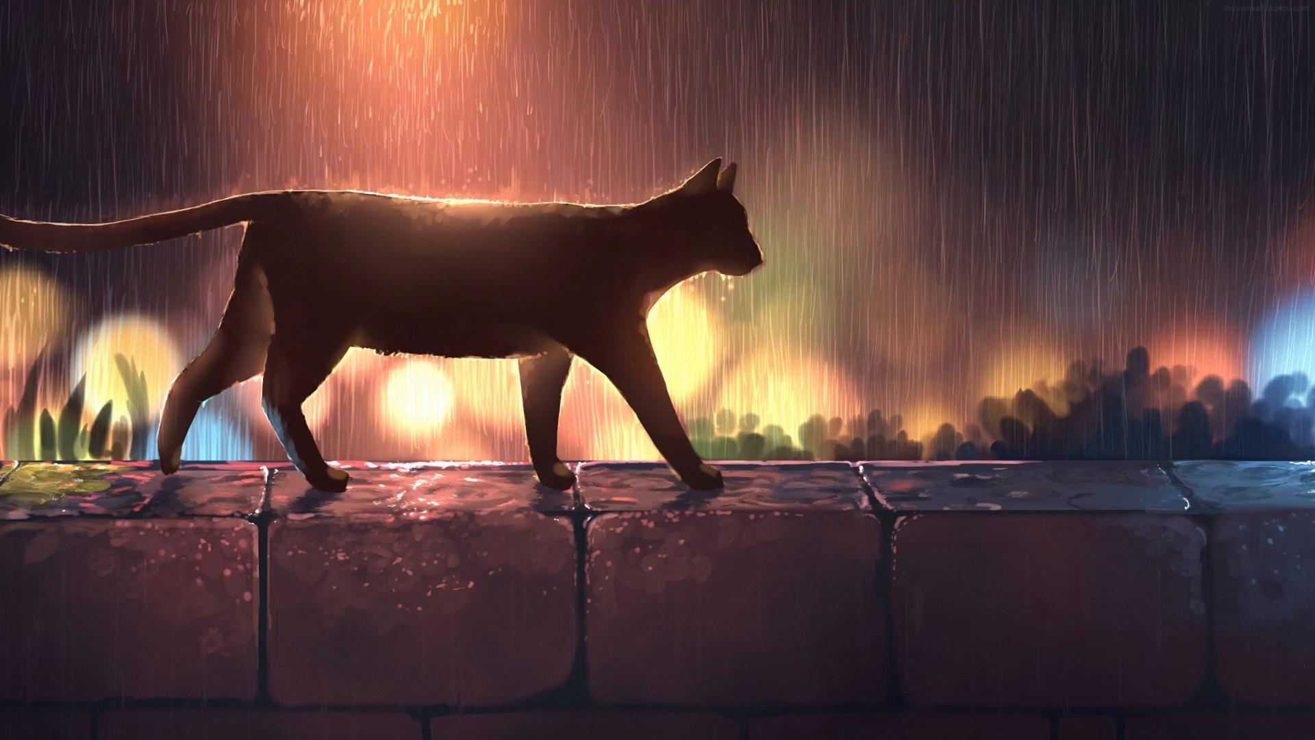 Anime Black Cat in the Rain Live Wallpaper