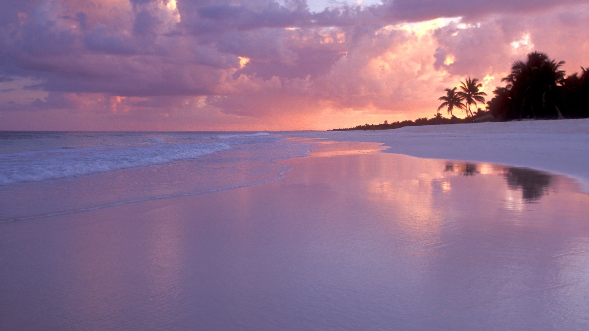 Pink Beach Sunset Wallpaper