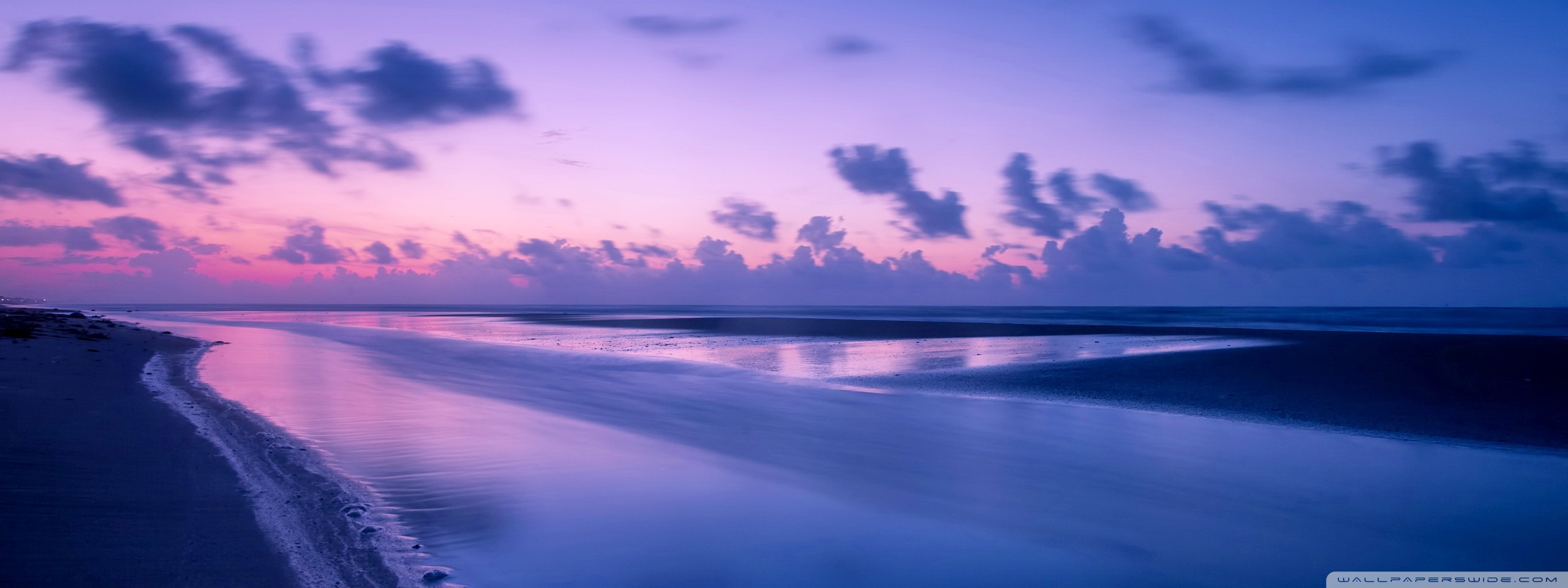 Pink Sunset Reflected In The Sea 4K UHD