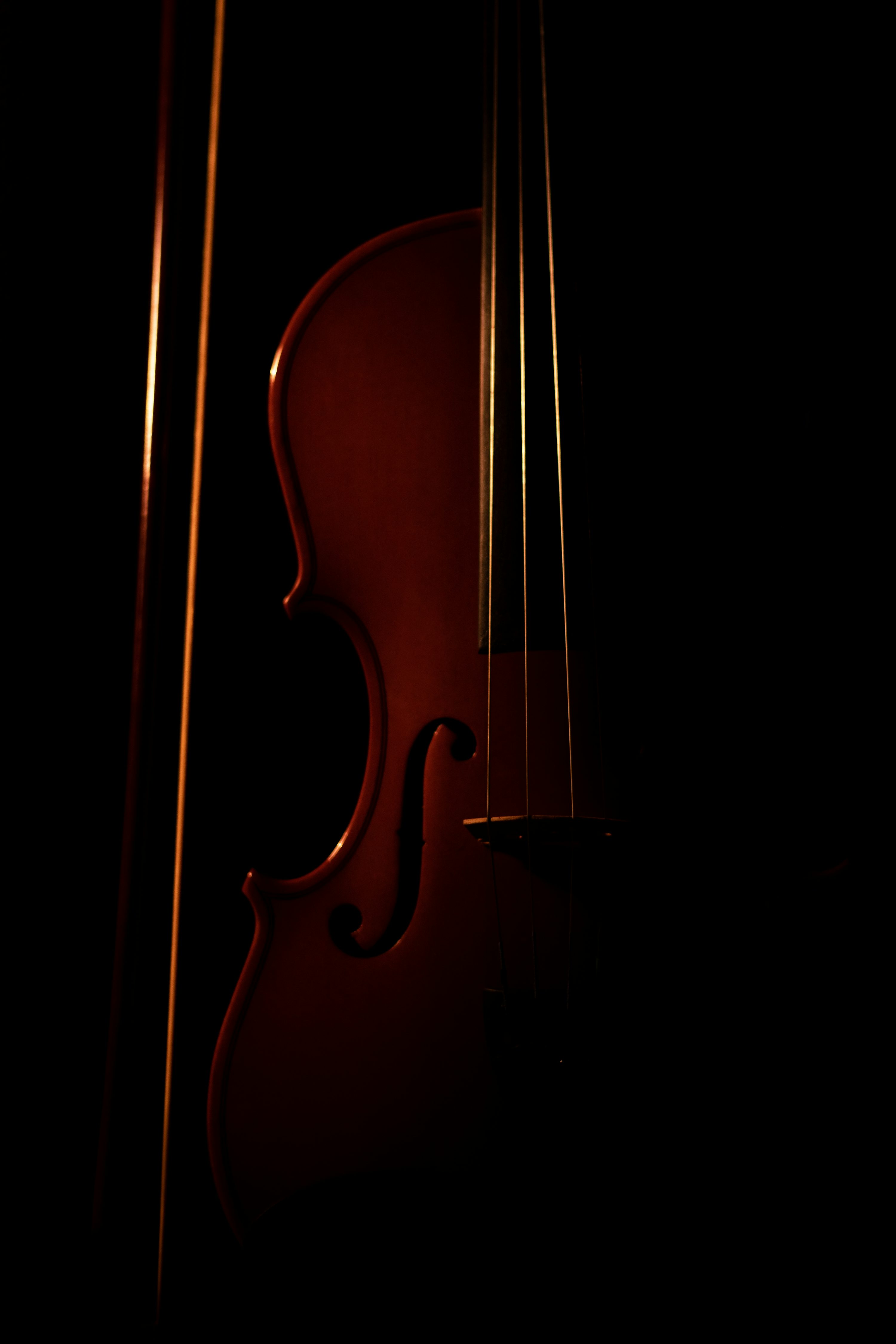 Violin Picture. Download Free
