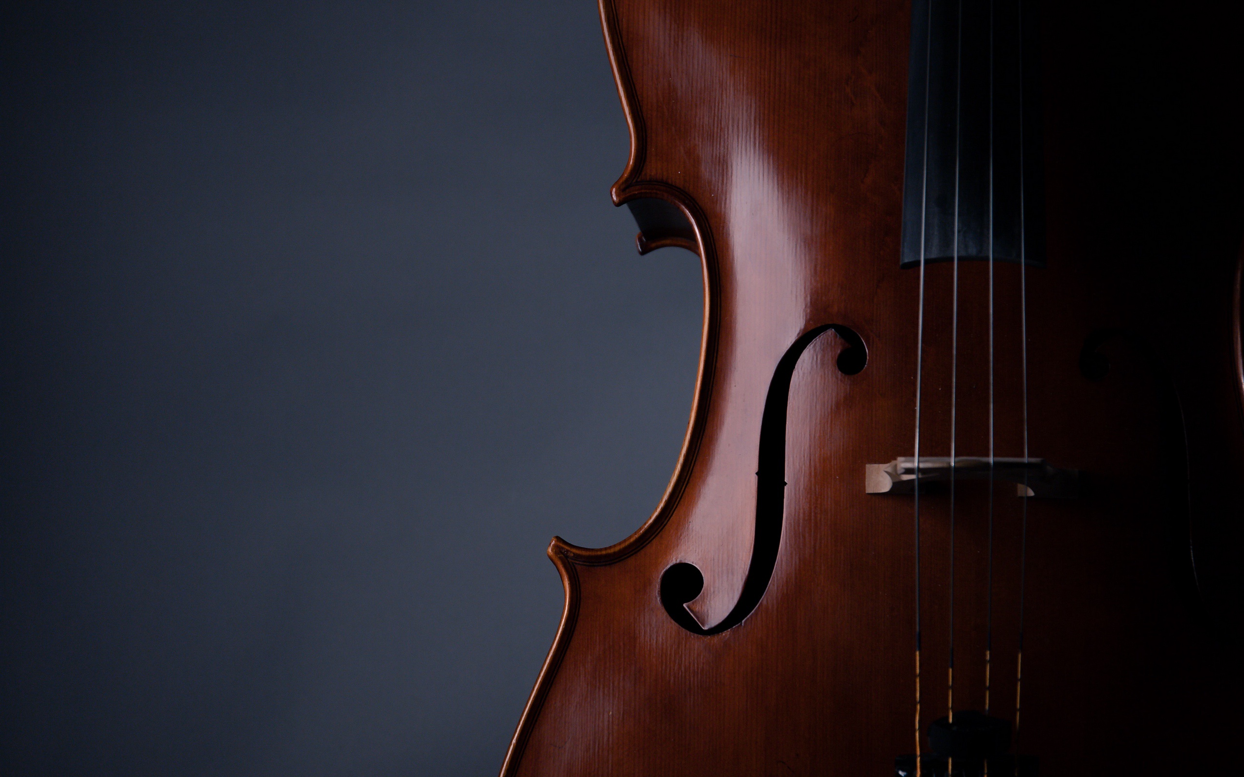 Wallpaper Music, violin, strings, musical instrument, 2k HD background for mobile and desktop, section музыка, resolution 2560x1600
