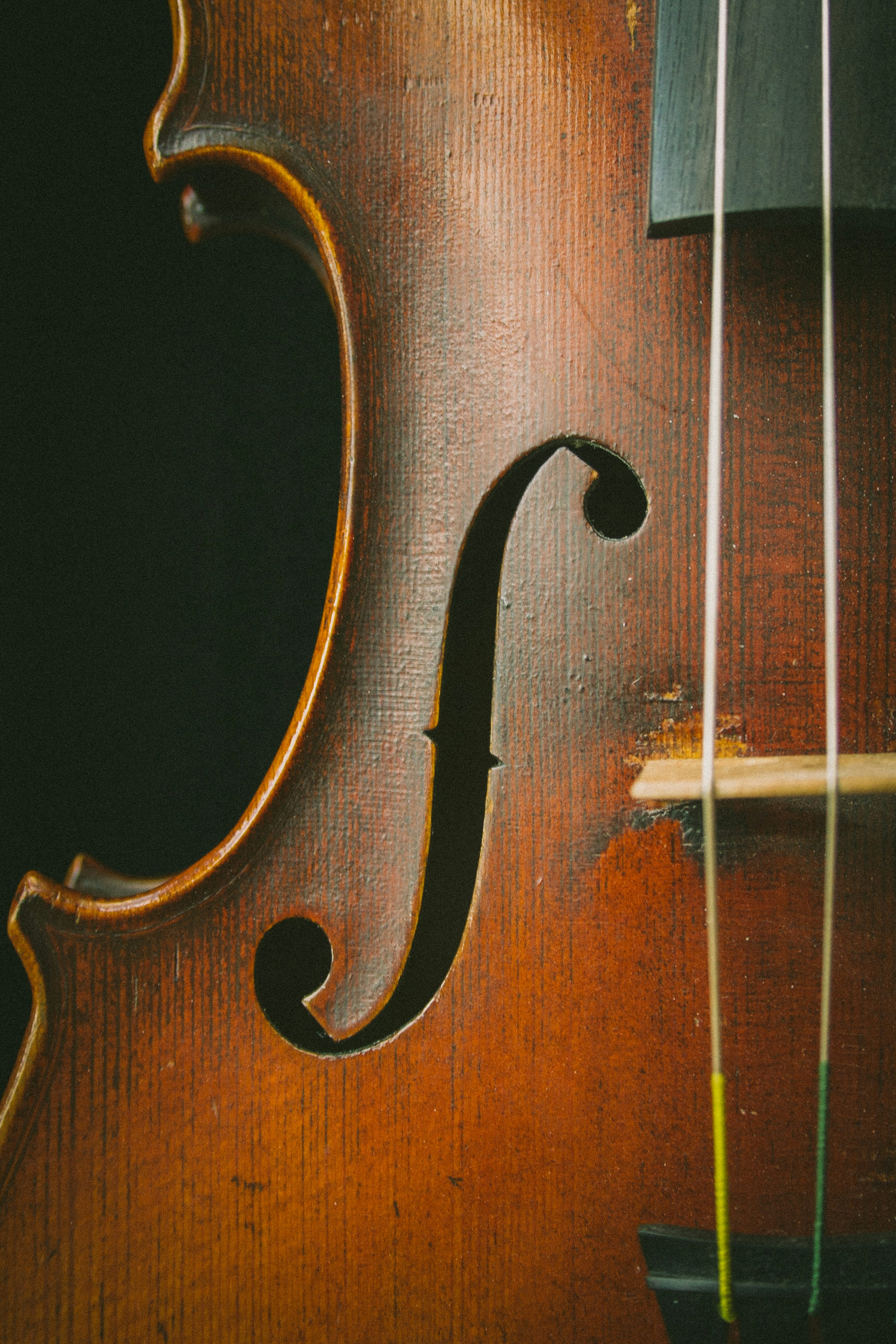 Violin Picture. Download Free