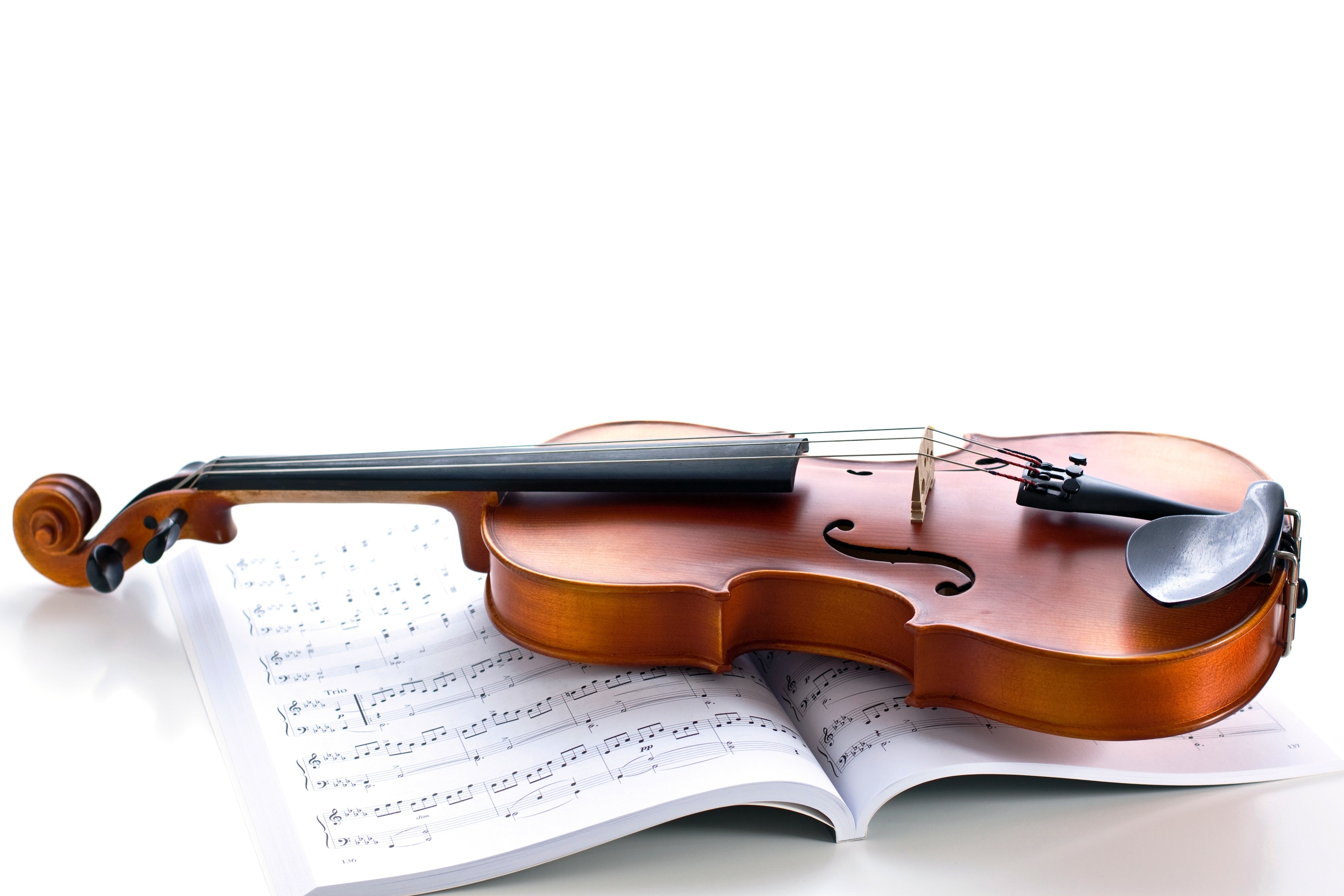 Wallpaper notes, violin, strings, white background, journal, musical instrument for mobile and desktop, section музыка, resolution 4500x3000
