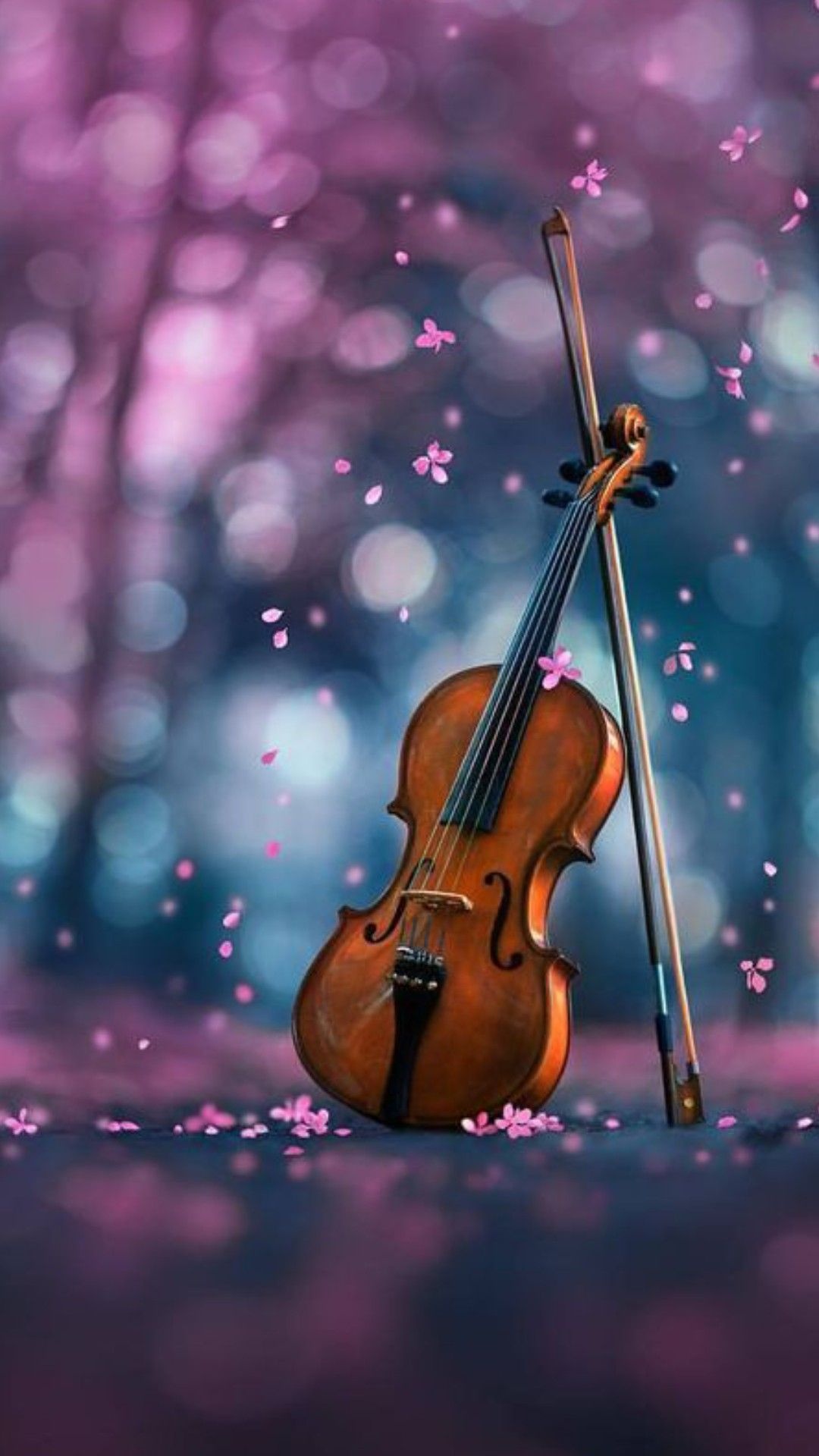 Violin Wallpaper Violin