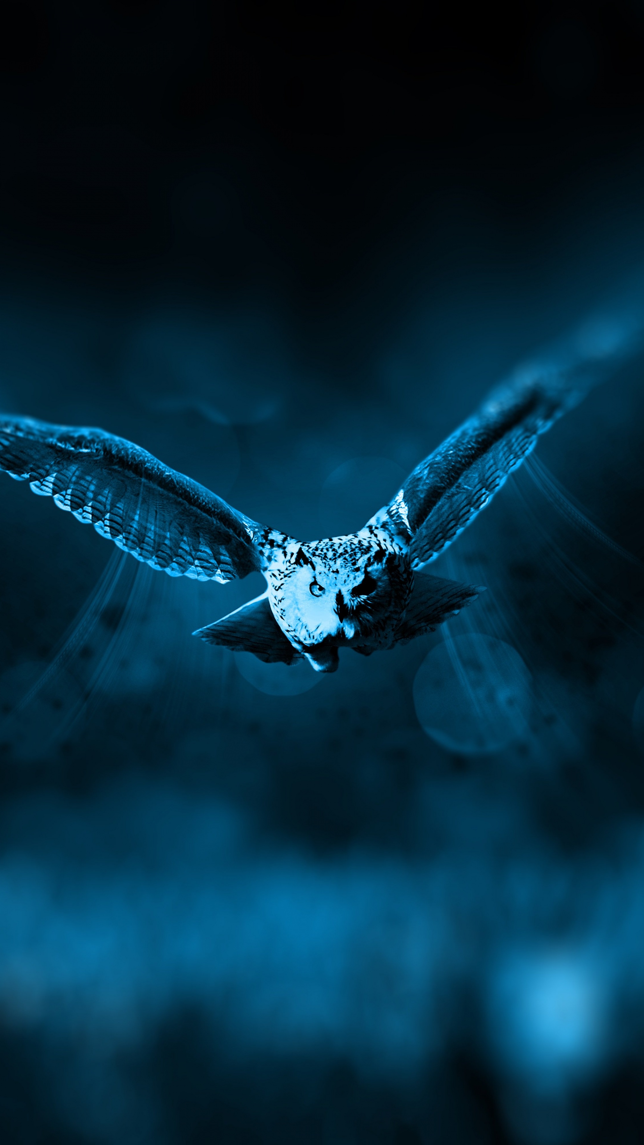 Owl Wallpaper 4K, Dark background