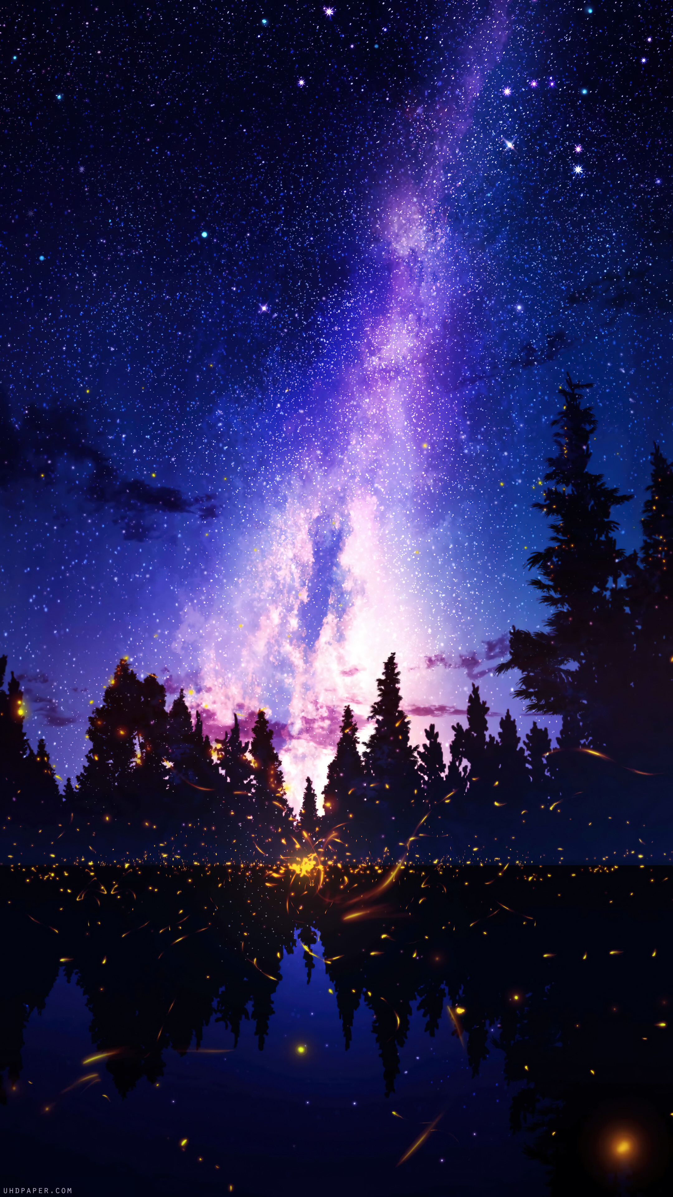 Starry Sky Night Forest Scenery 4K