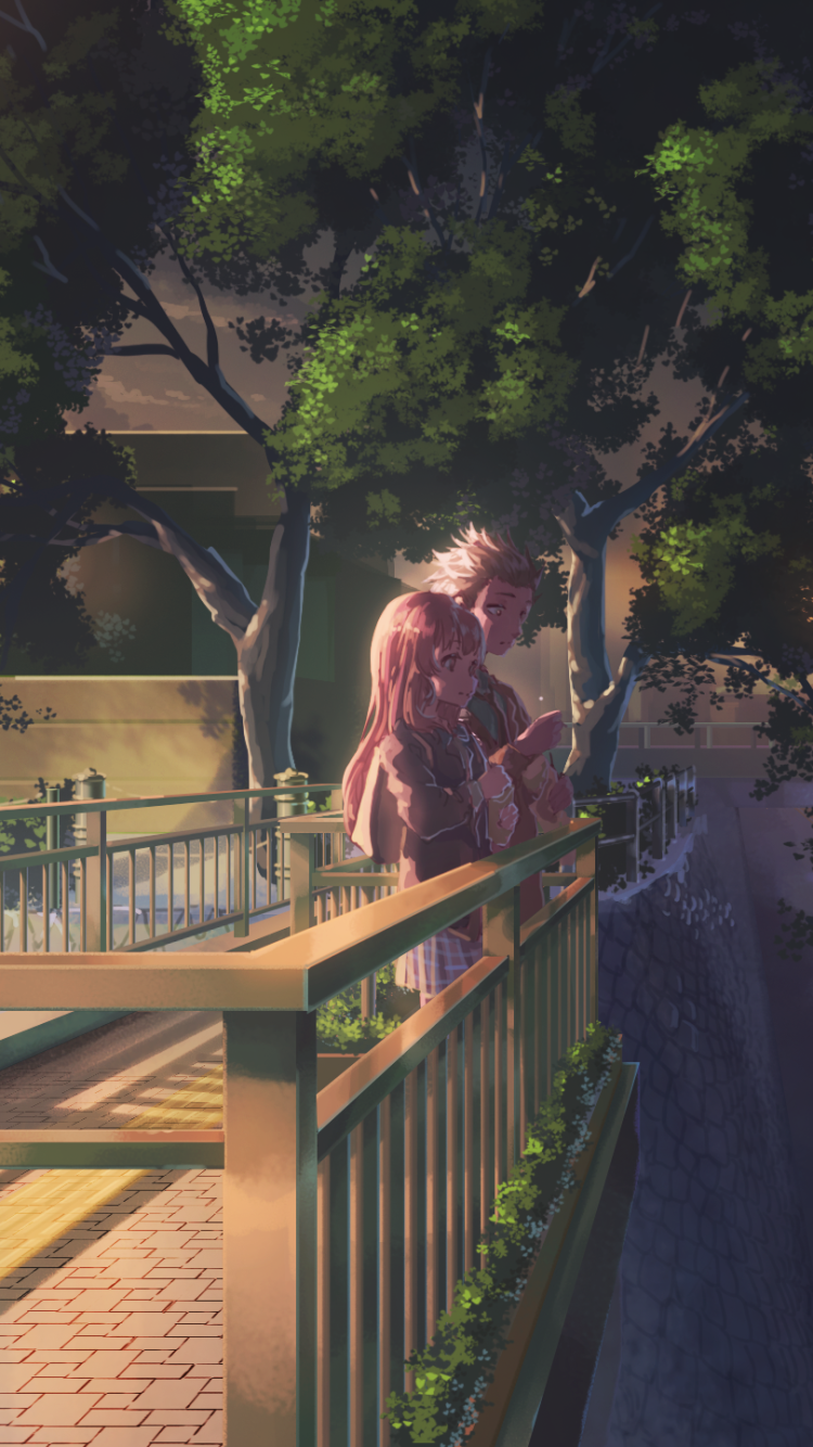 Shouya Ishida Shouko Nishimiya Anime