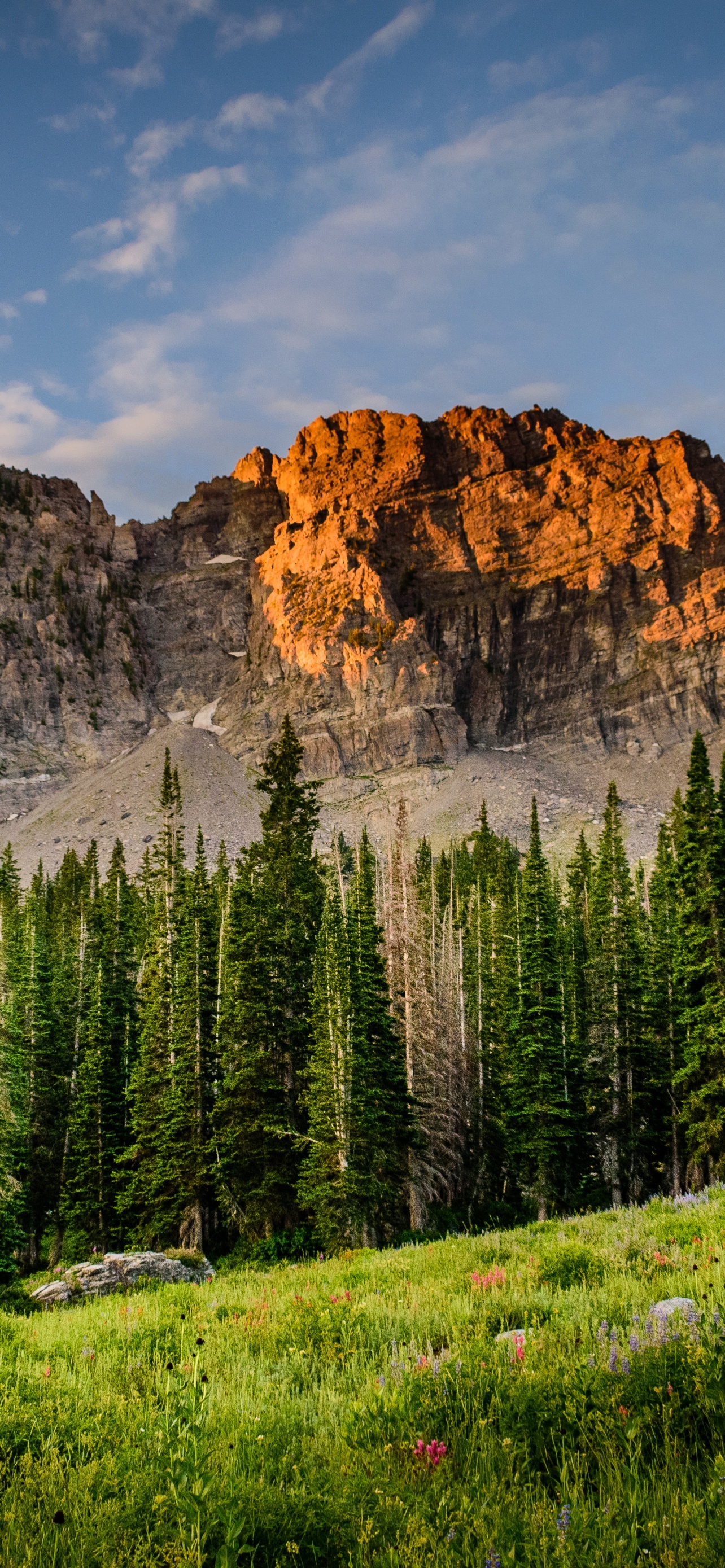 Free HD Scenery Phone Wallpaper