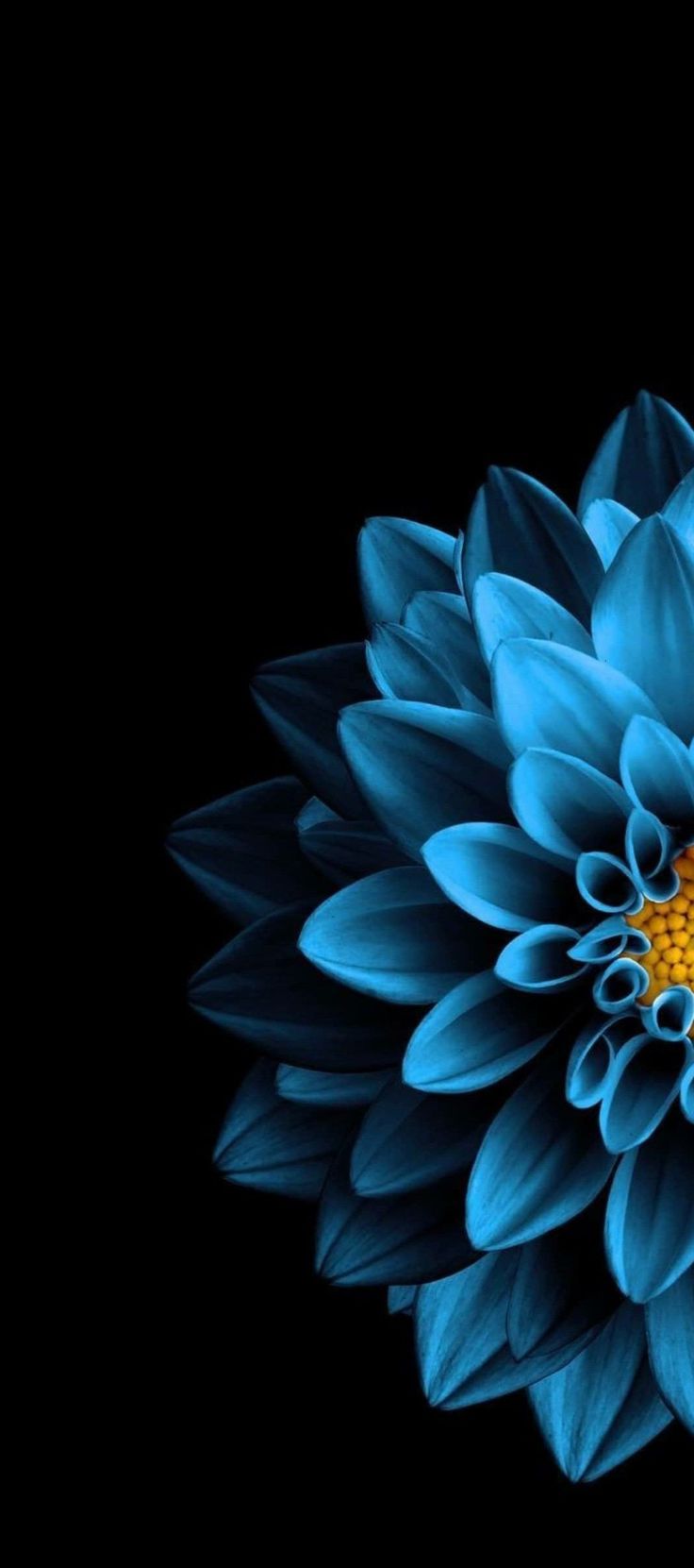Blue flower wallpaper