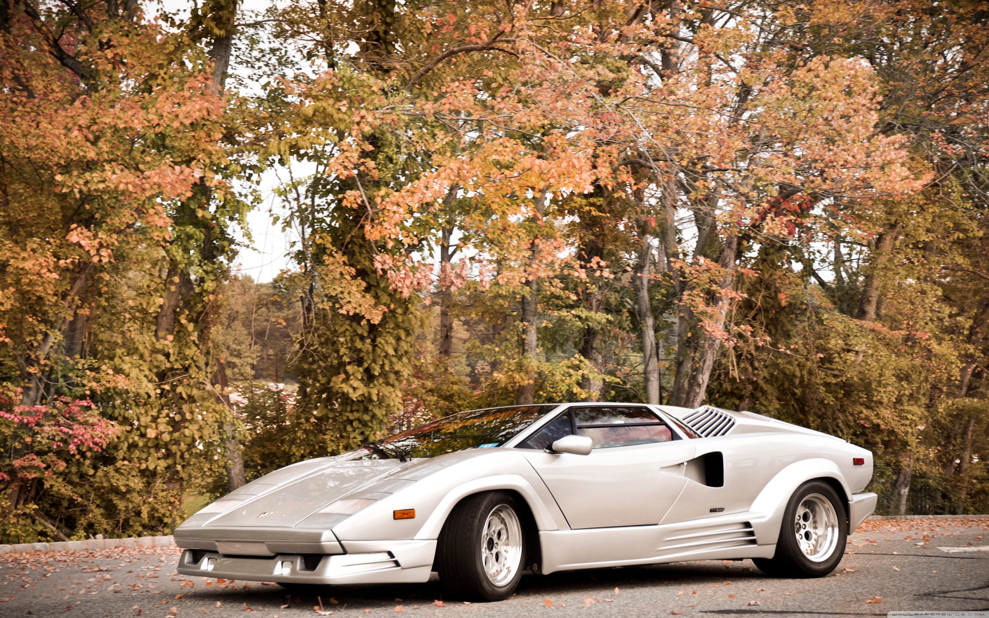 Lamborghini Countach 4K UHD Wallpaper