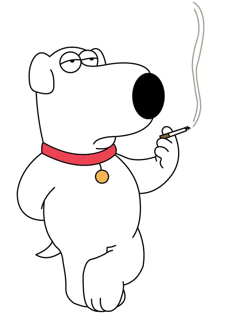 BRIAN ideas. brian family guy