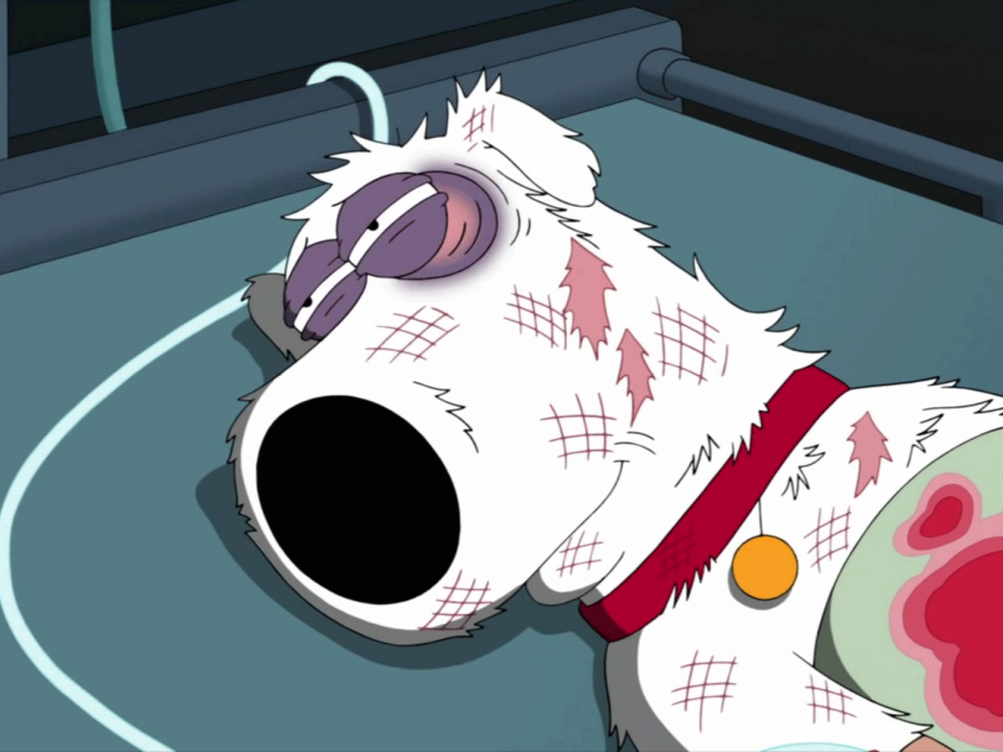 killed Brian Griffin in Family Guy