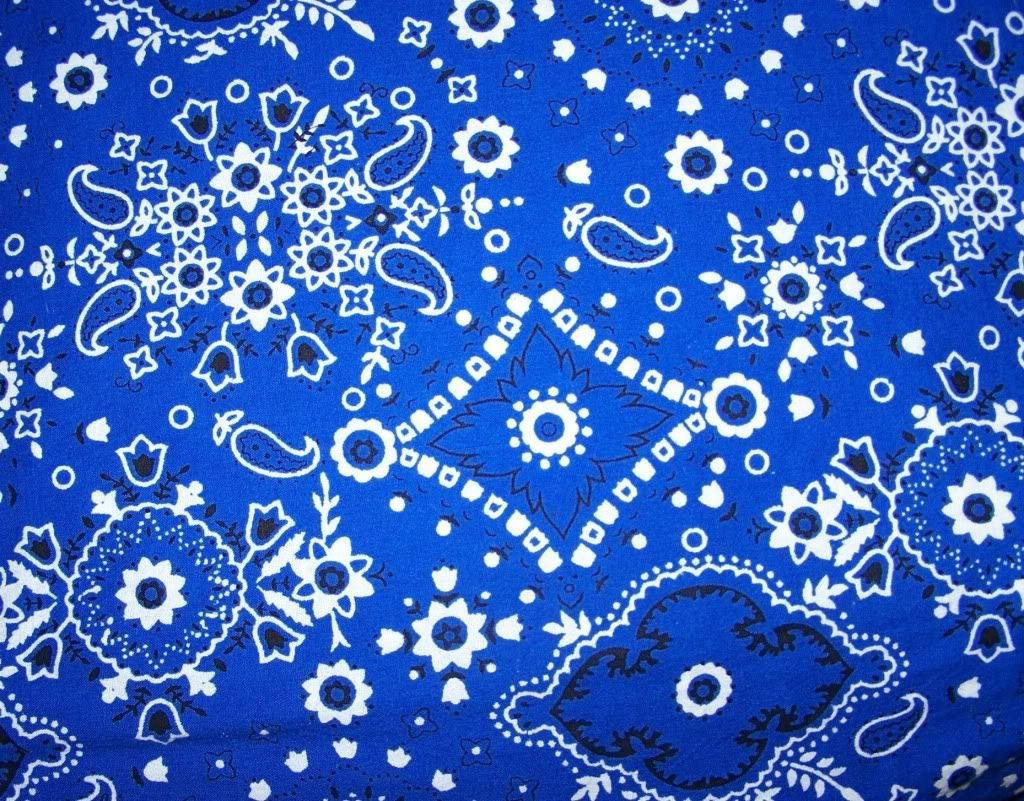 Blue Bandana Paisley Gang Design