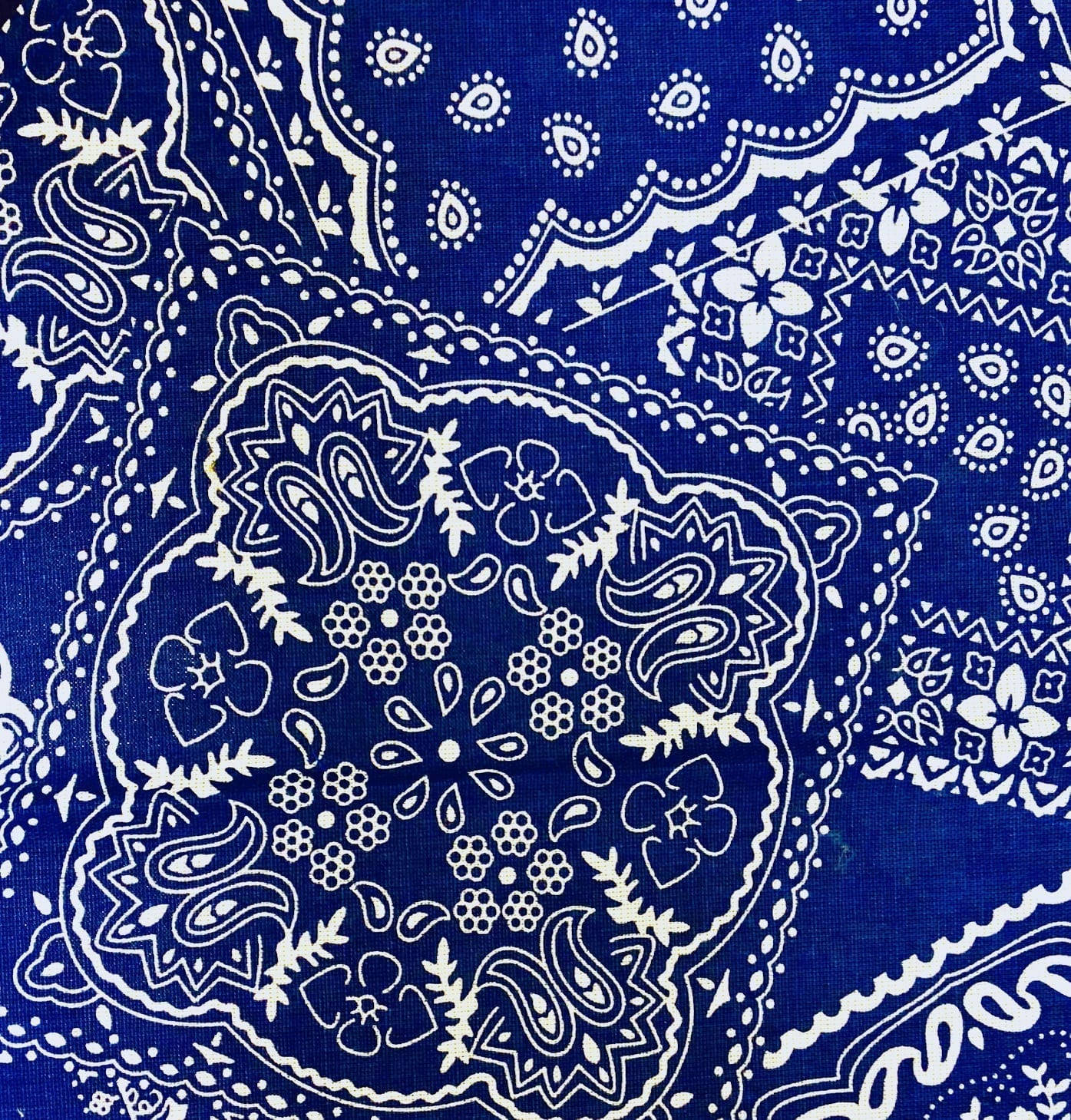 Download free Blue Bandana Iconic Print
