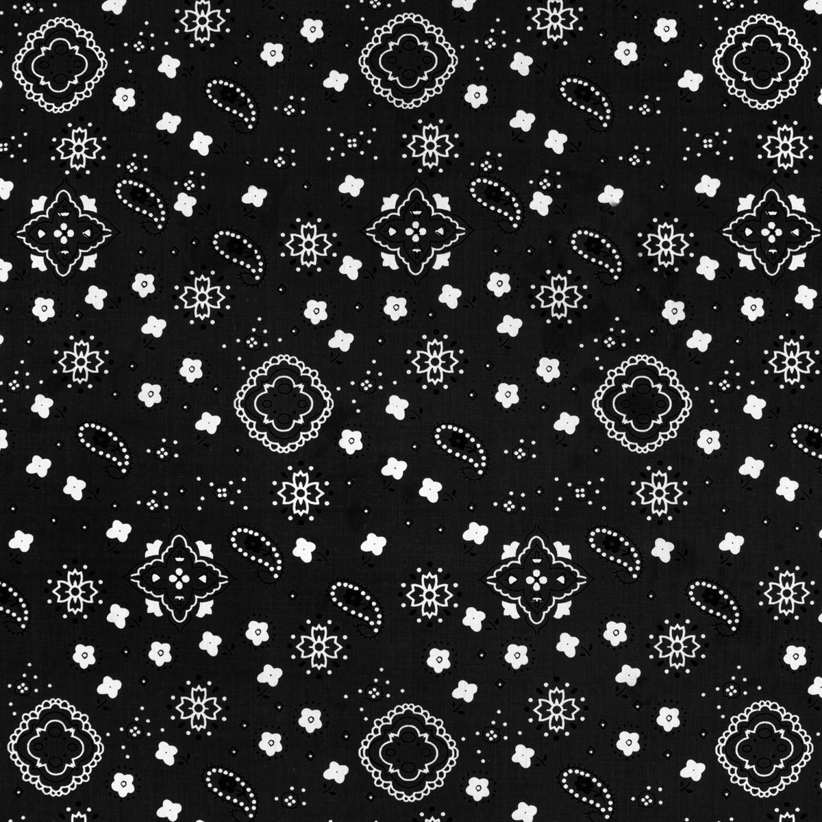 Black Bandana Print Fabric
