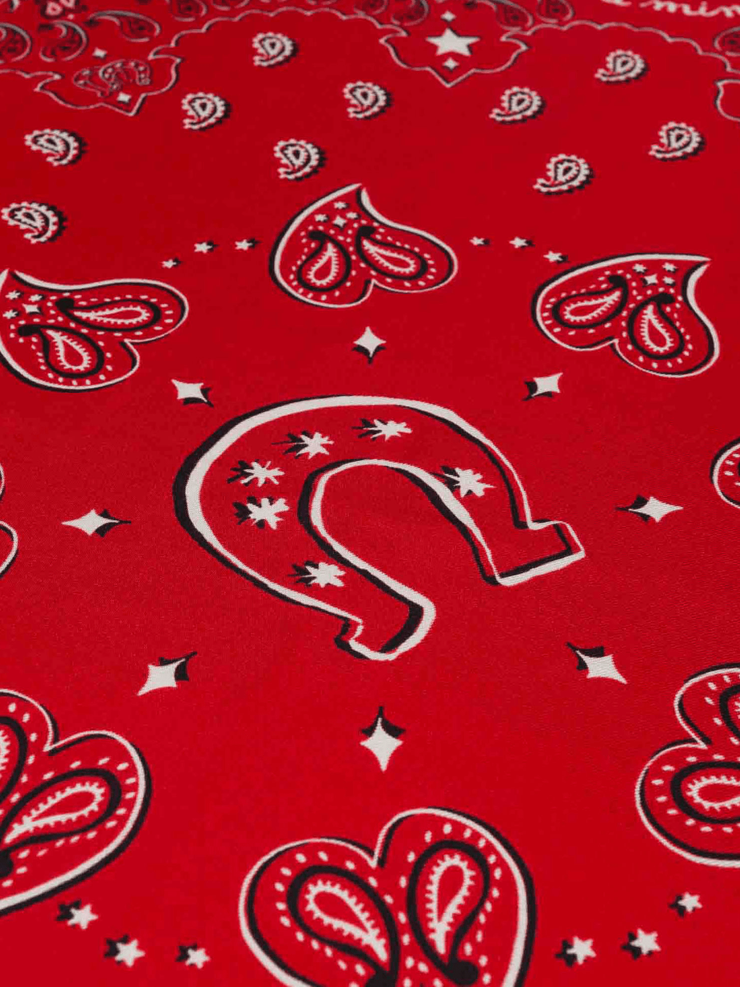 Western Silk Bandana
