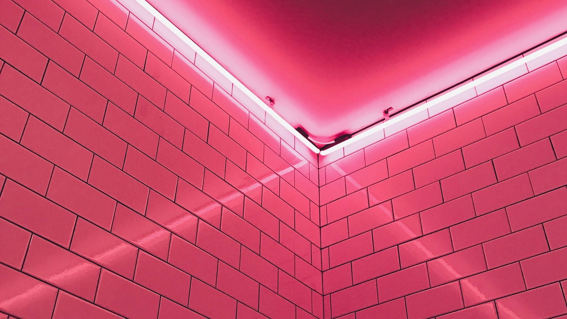 Download Neon Pink Aesthetic Brick Wall