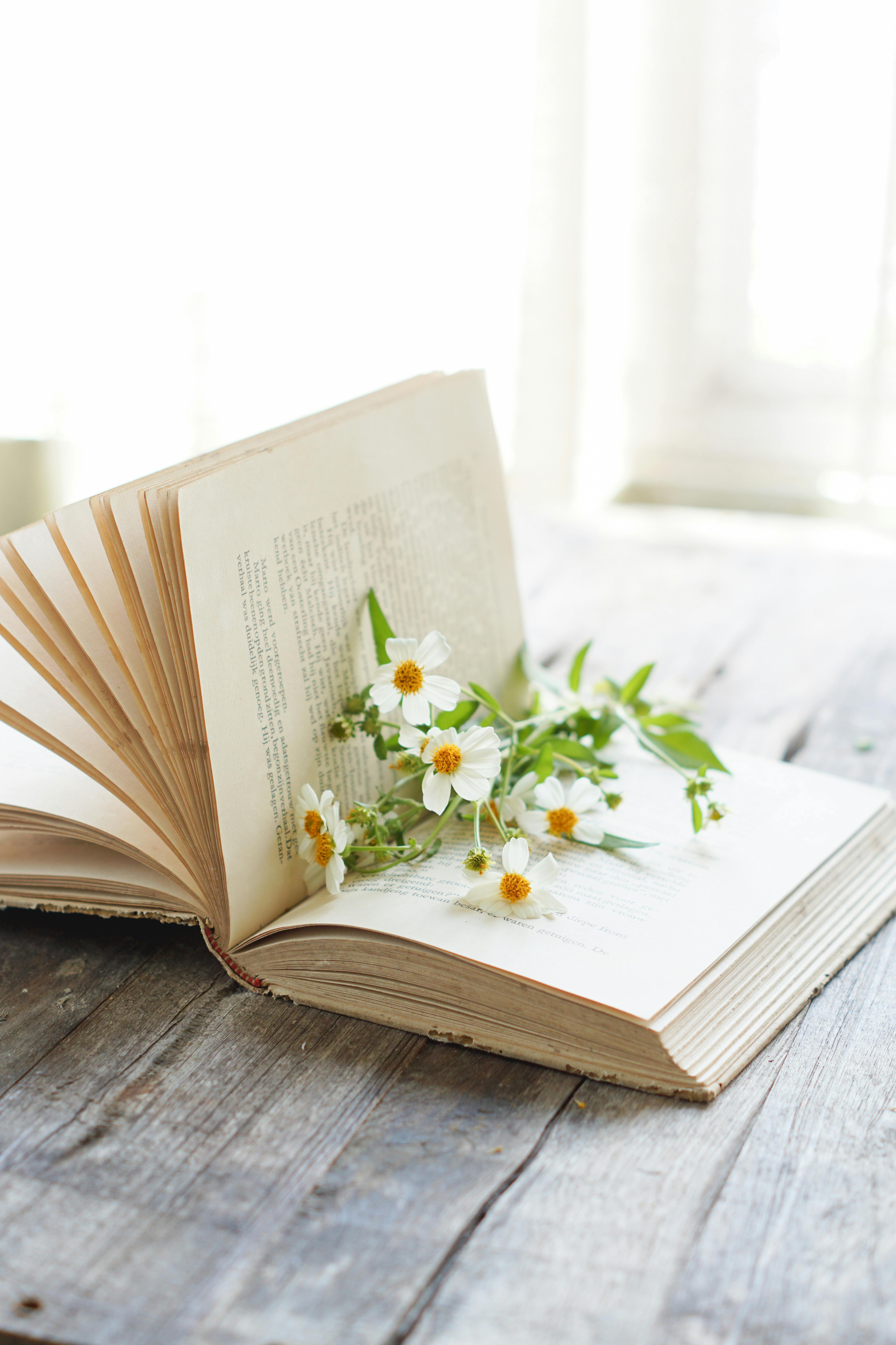 Flowers in Book · Free