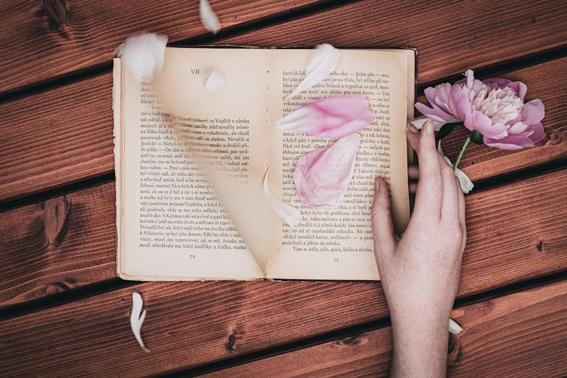 Hand Holding Book and Flower · Free