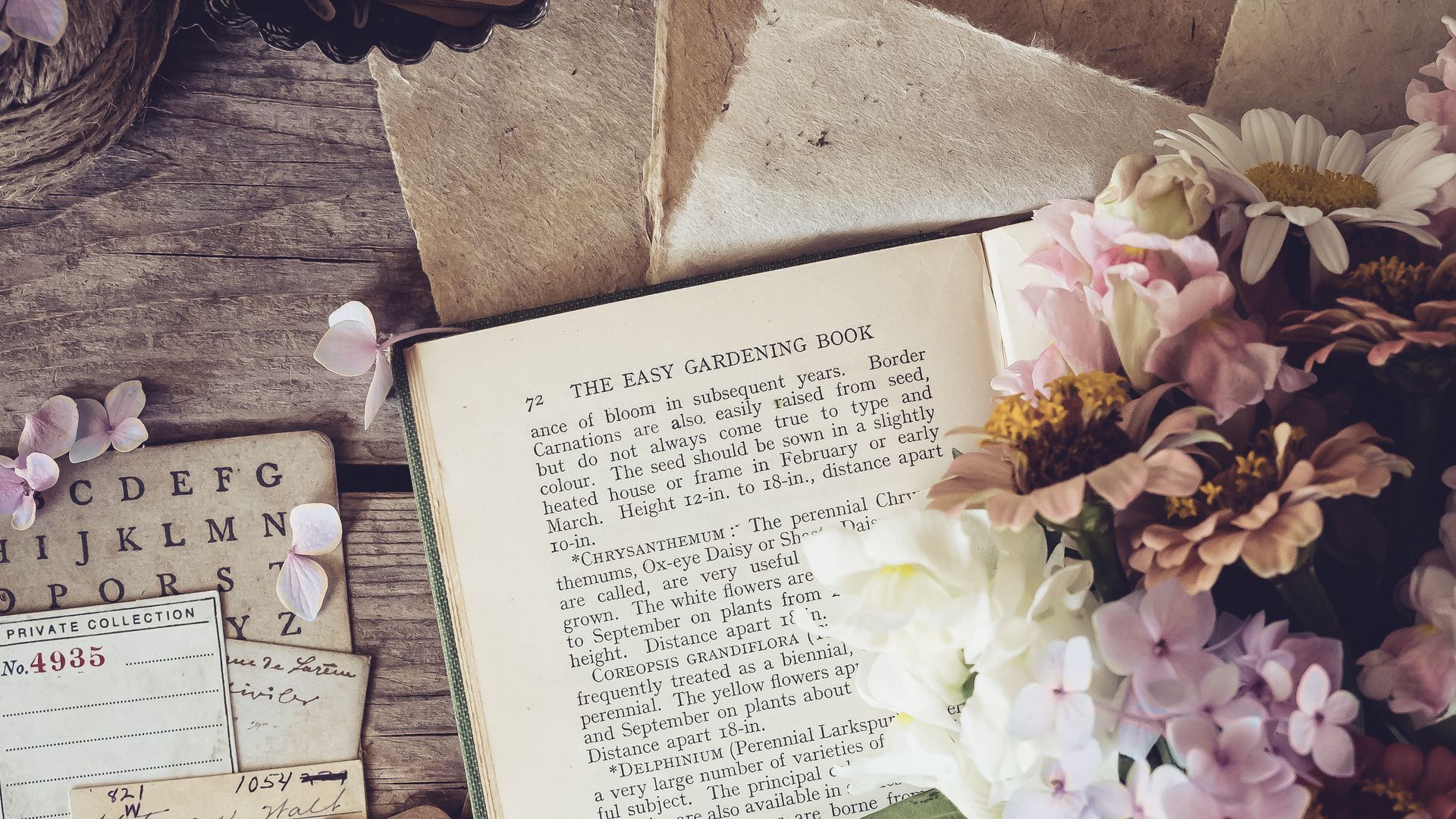 Download wallpaper 1920x1080 book, flowers, petals, paper, aesthetics full hd, hdtv, fhd, 1080p HD background