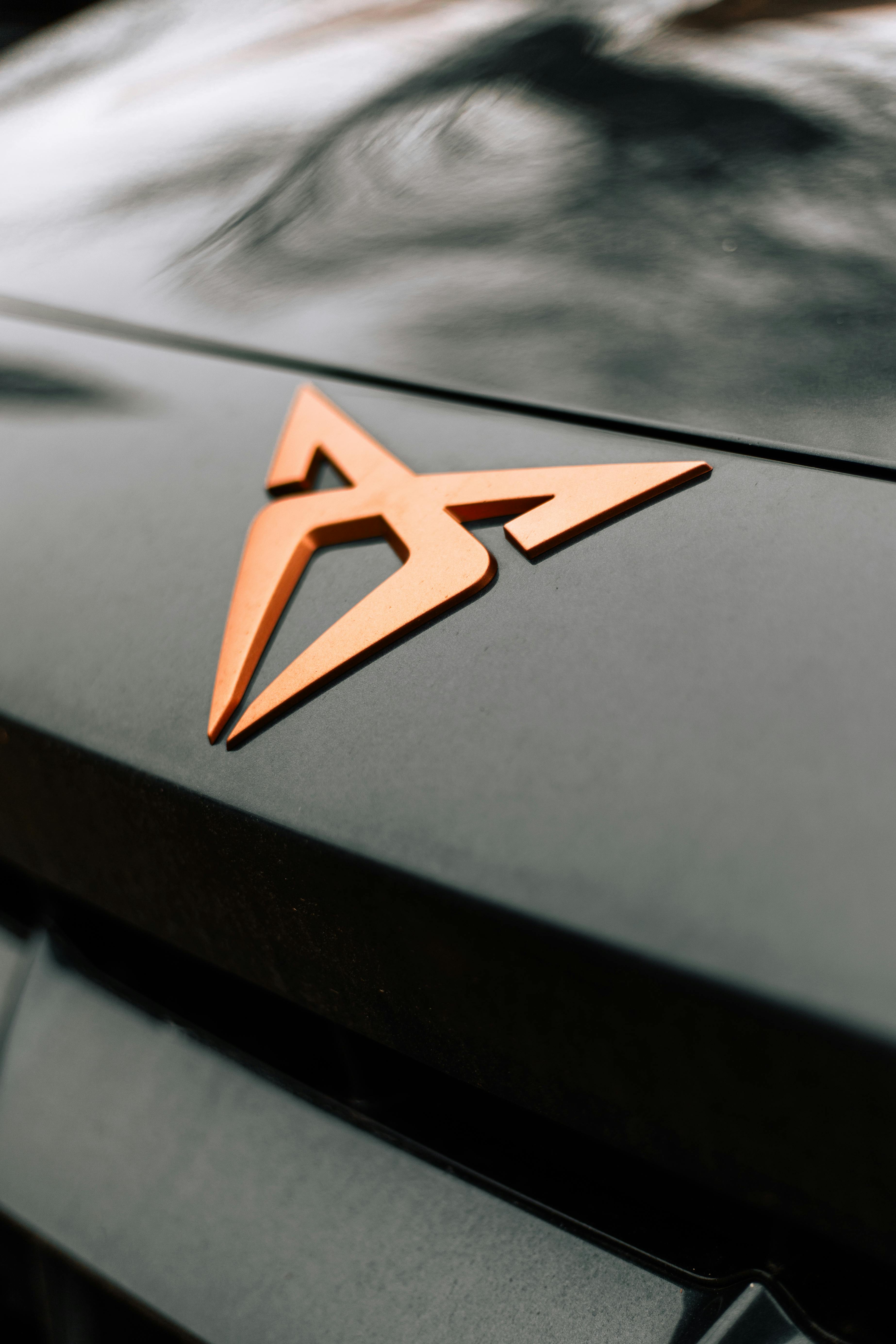 Car Emblem on Vehicle Exterior