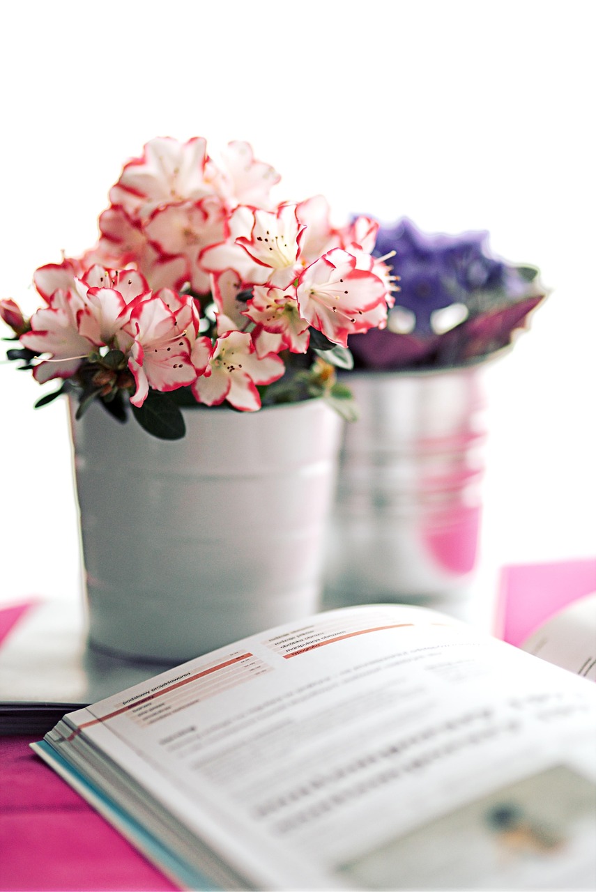 Azalea White Pot Book