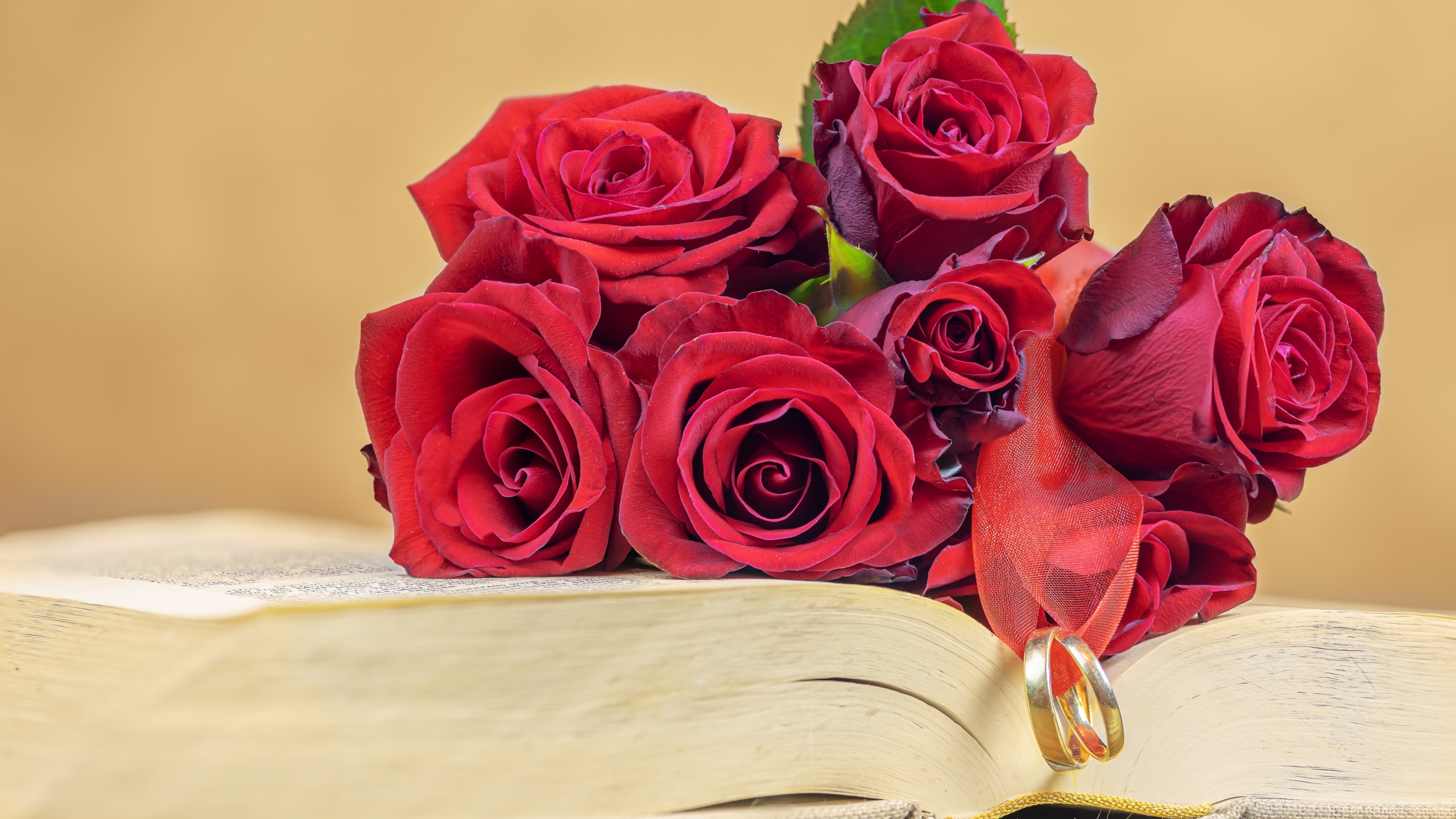 Red Roses Wallpaper 4K, Wedding rings, Book