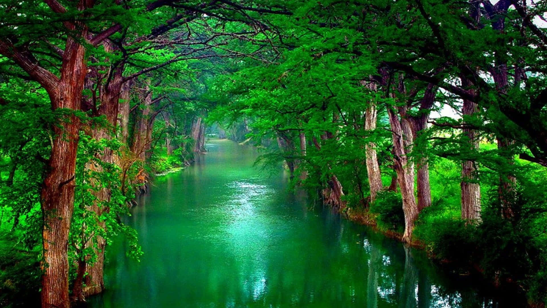 Download Tranquil Spring River Flowing