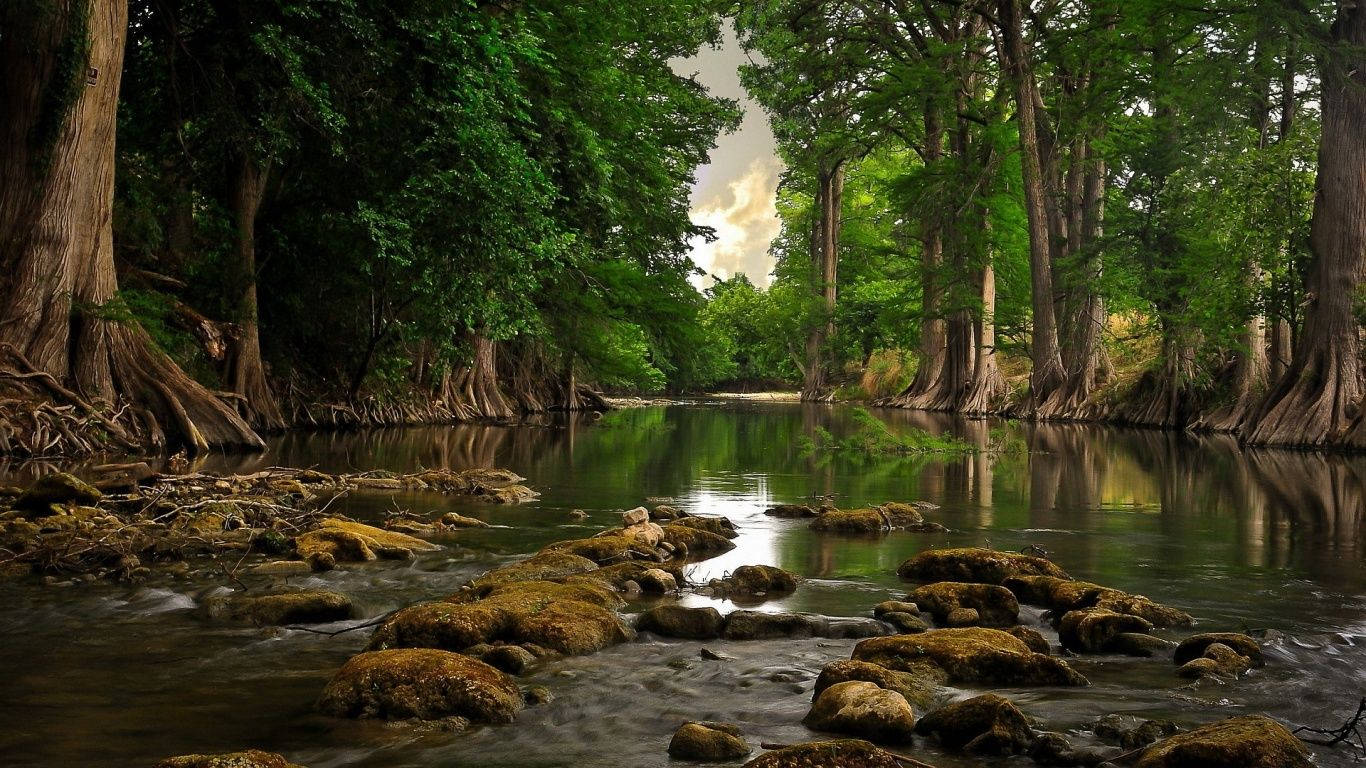 Download Rocky Forest River Wallpaper