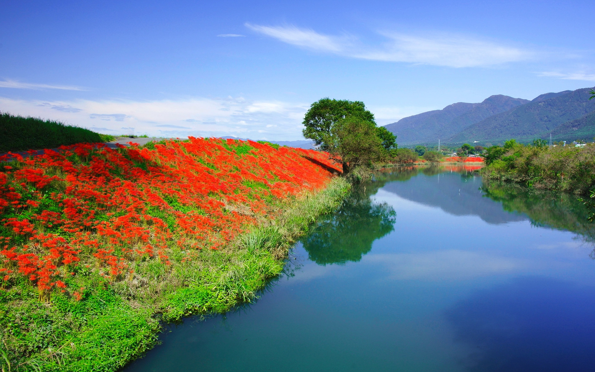 Download Nature River HD Wallpaper