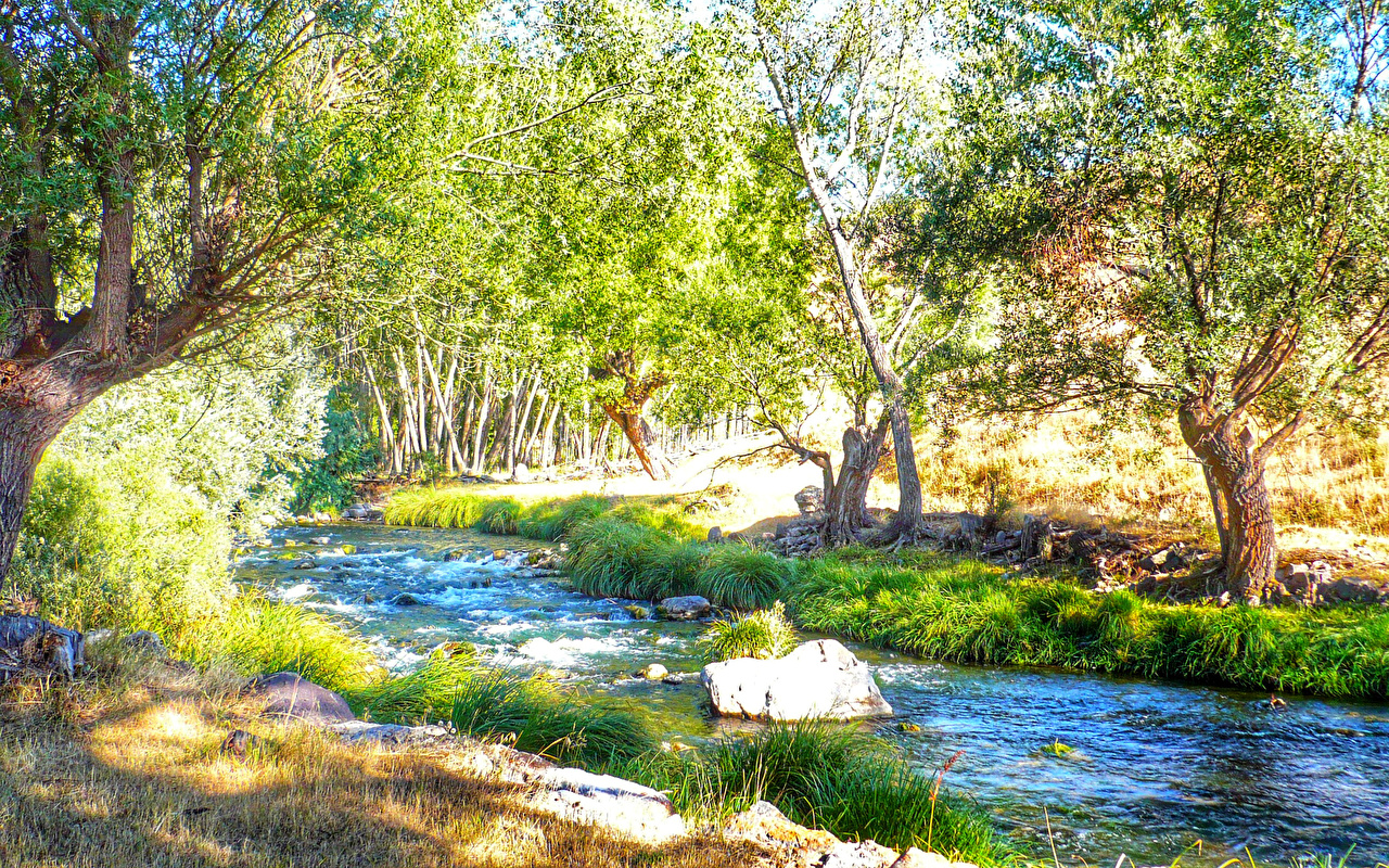 Spring Nature river Grass Stones Trees