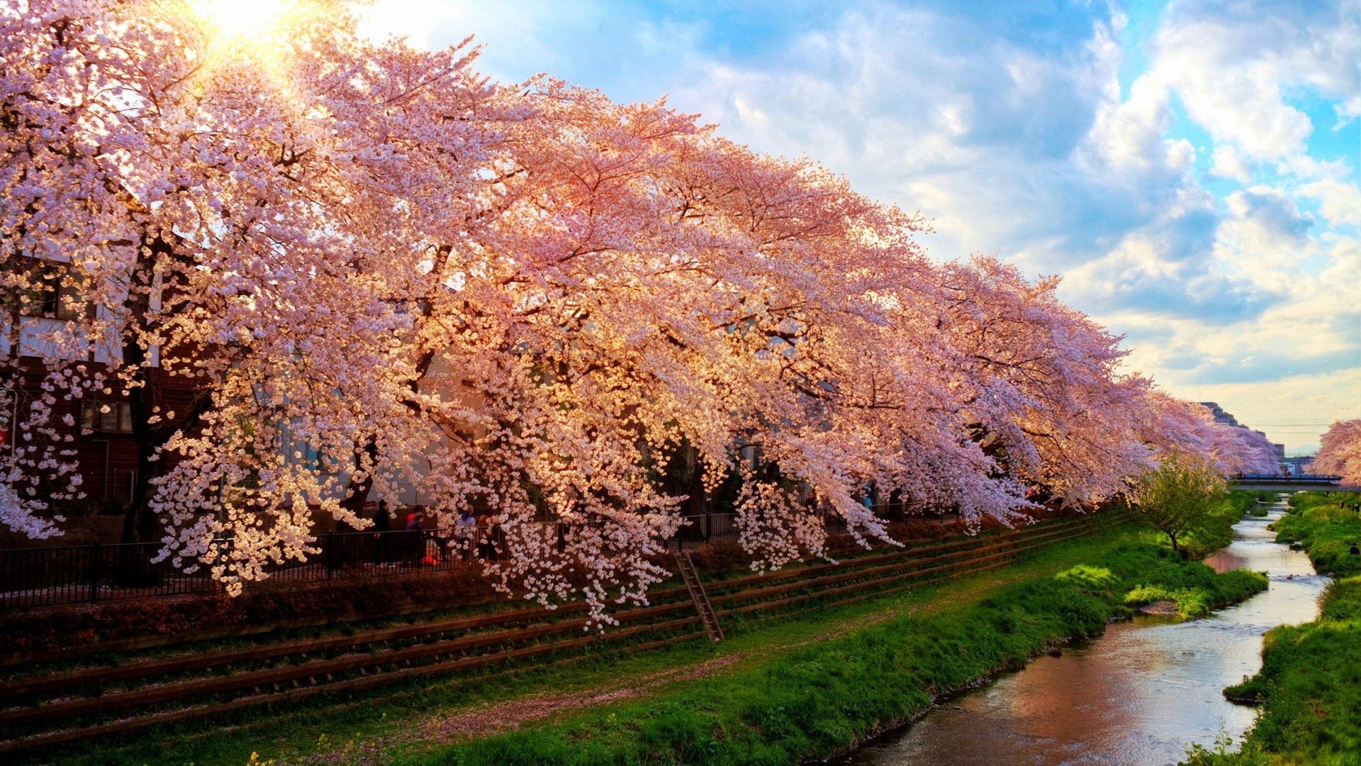 Japan Beautiful Landscape Wallpaper