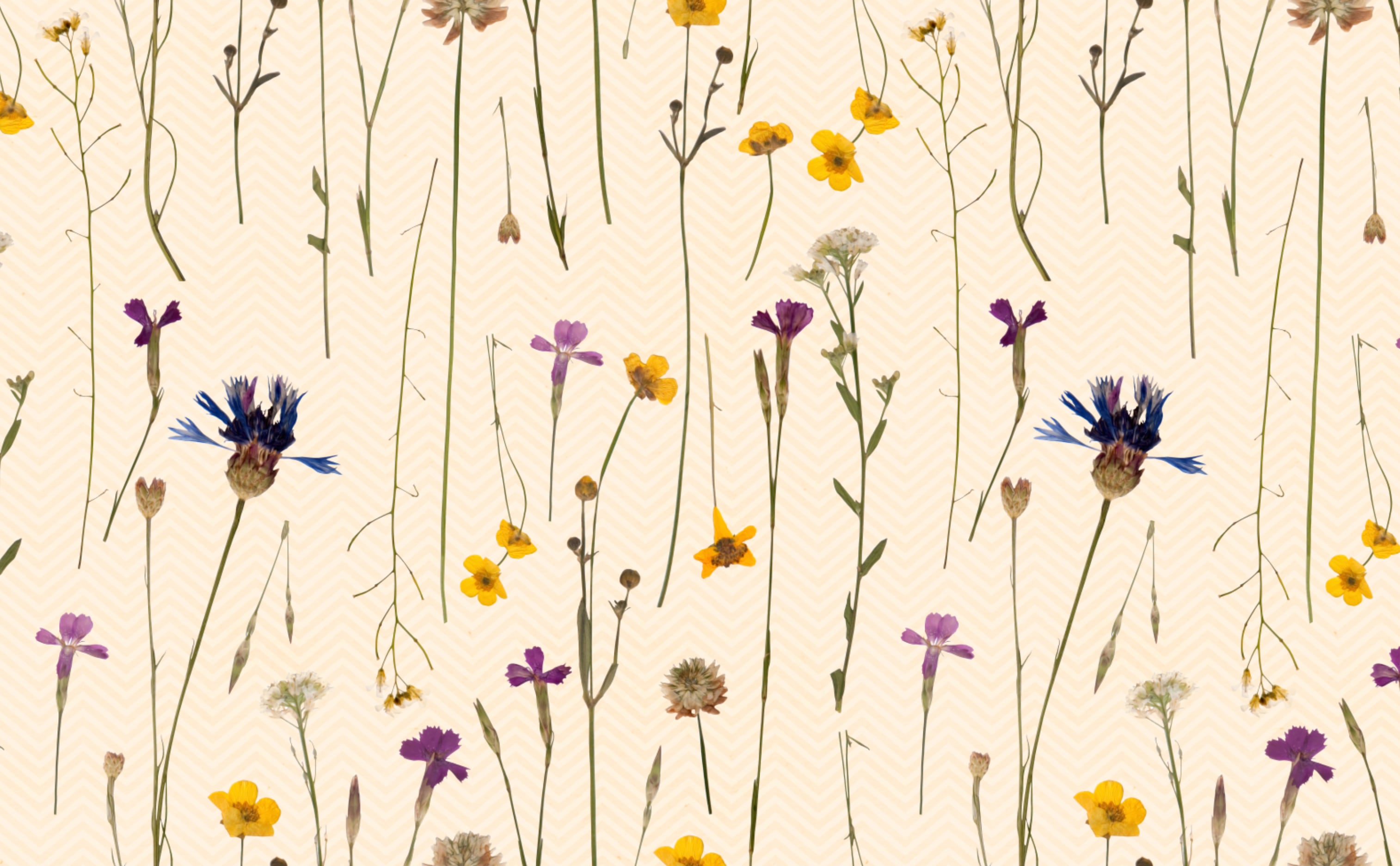 Delicate Wildflowers Wallpaper
