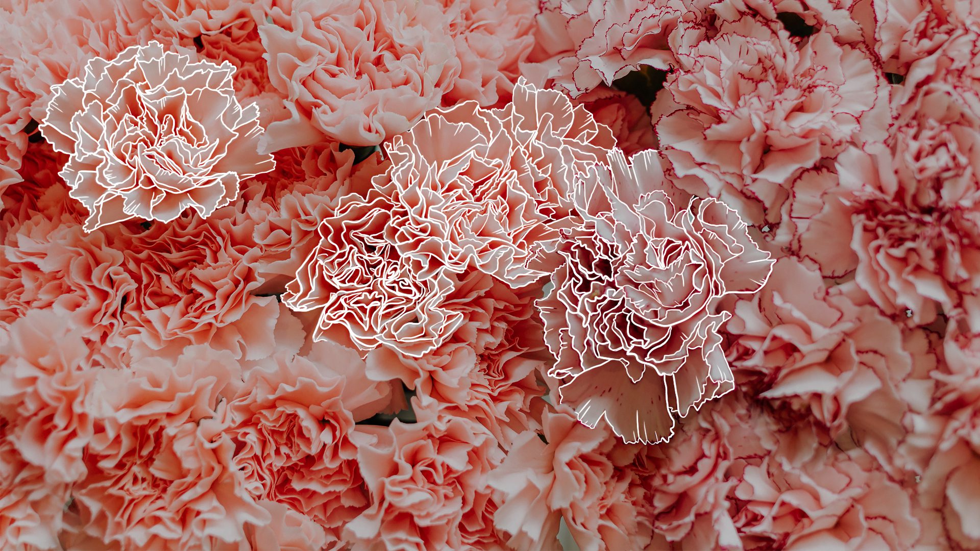 Spring Desktop Background