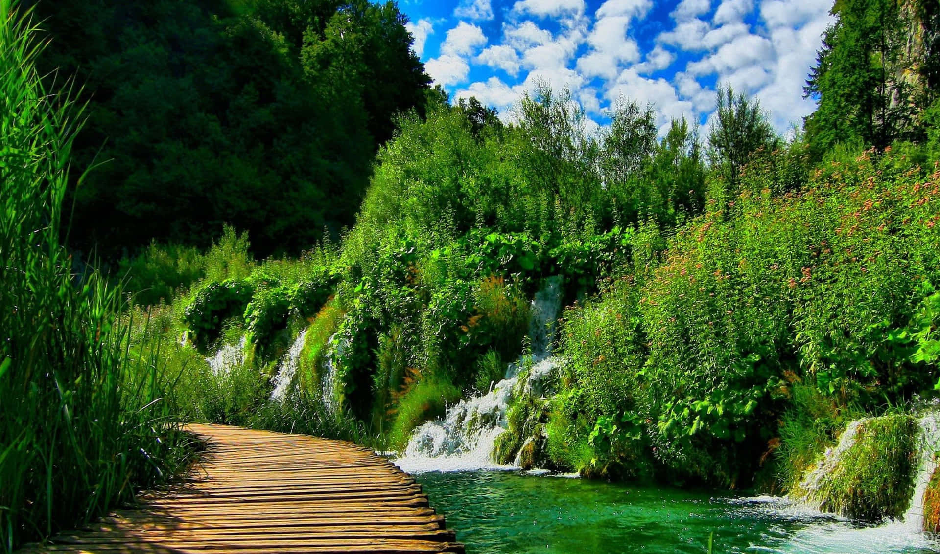 Download Plitvice Lakes, Croatia