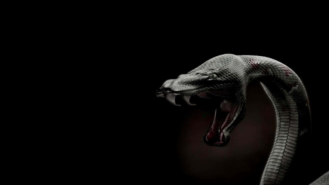 Download Majestic Cobra Snake Crawling