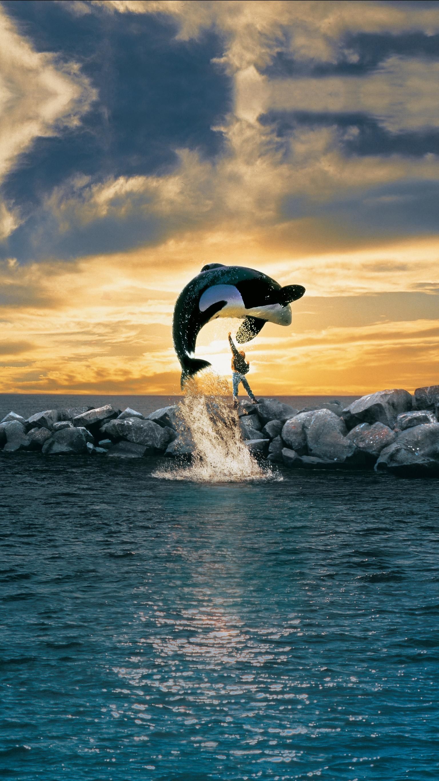 Free Willy Wallpaper