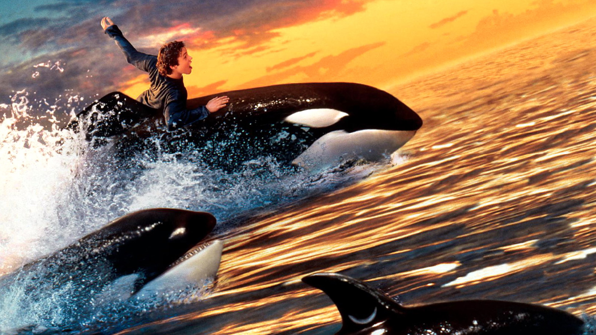 Download Movie Free Willy 2