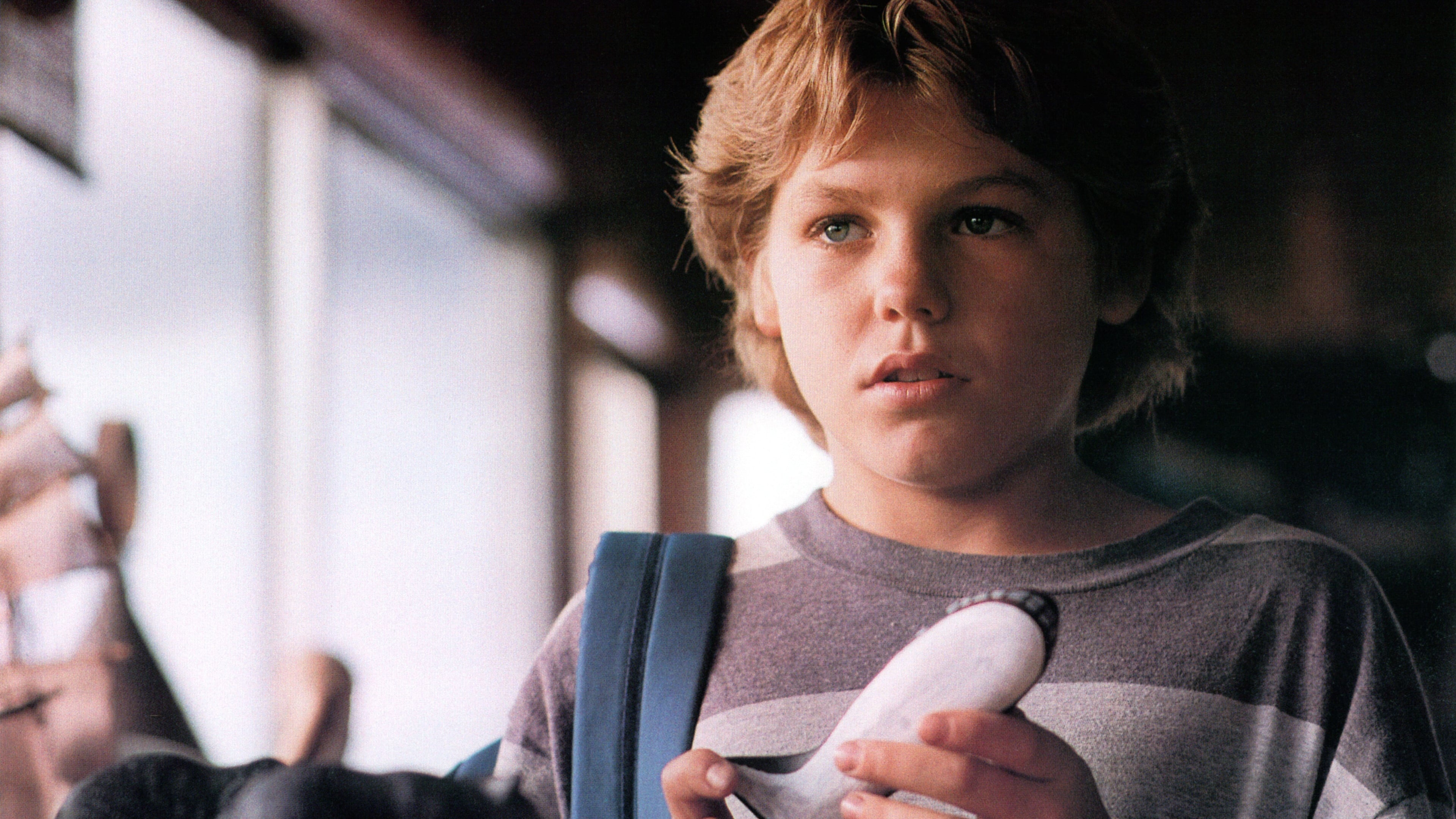 Free Willy Wallpaper