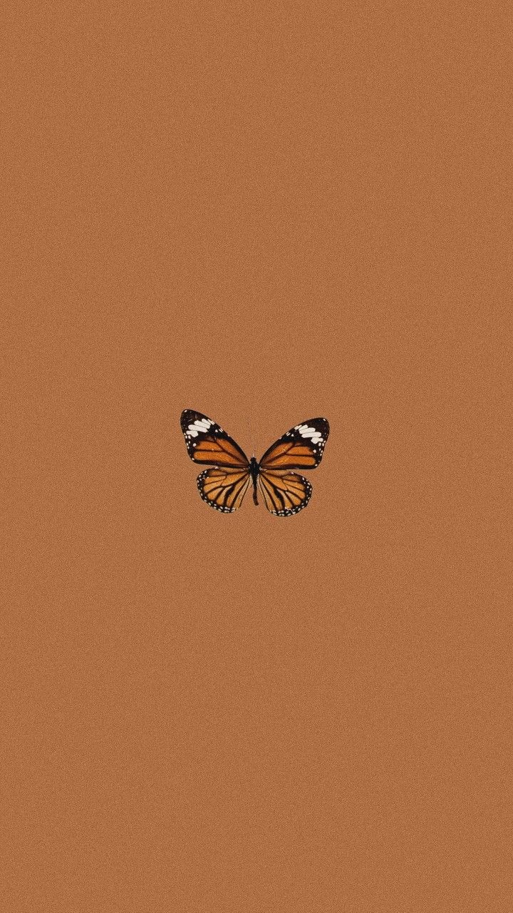 Butterfly wallpaper, iPhone wallpaper