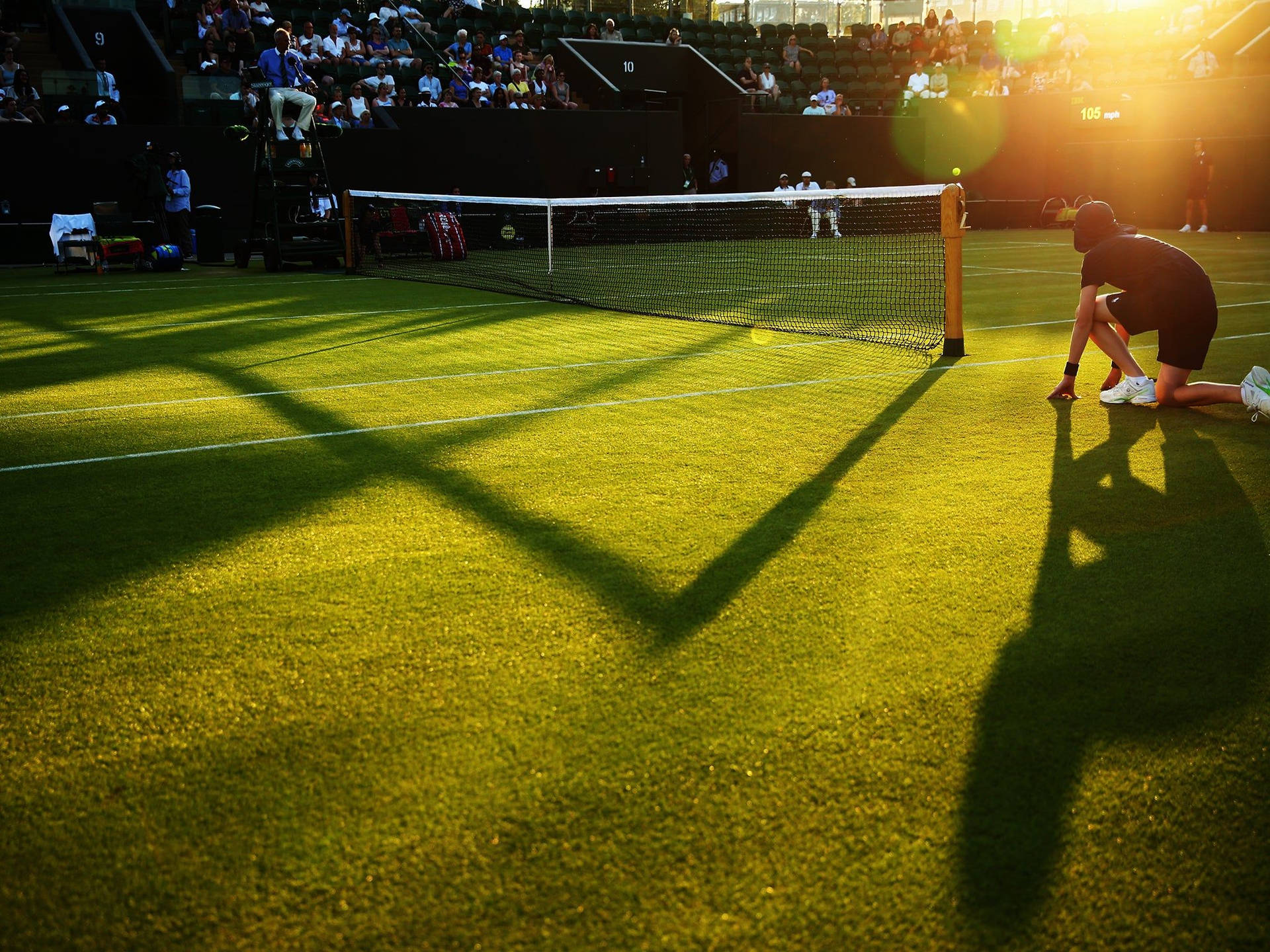 Wimbledon Tennis Court Wallpaper