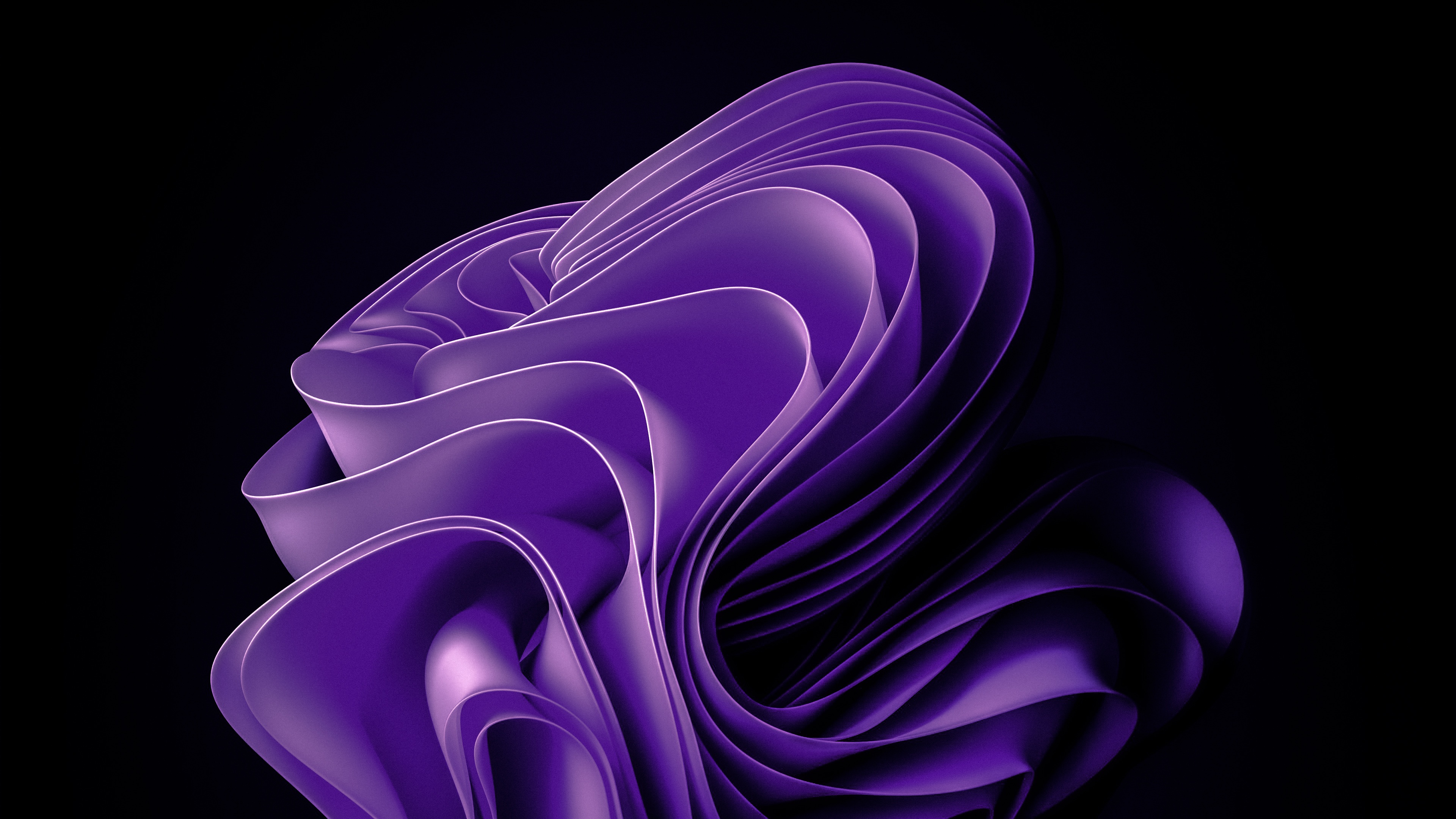 Abstract Purple Bloom 4K Wallpaper