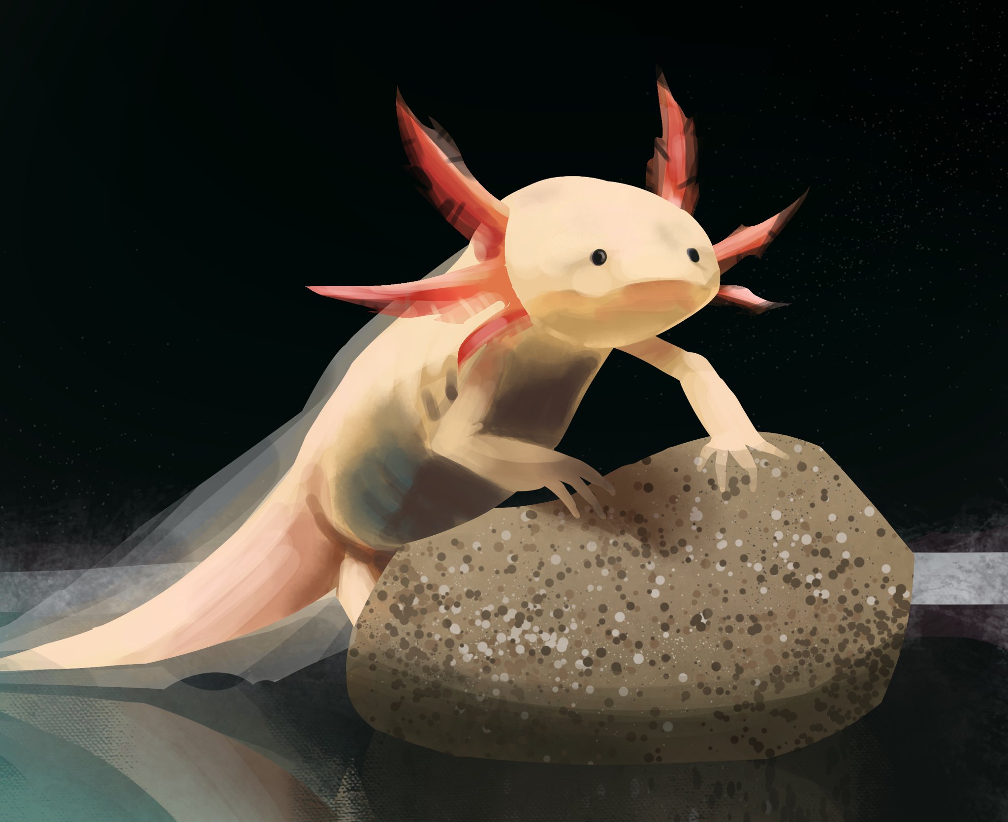 sheol.. freakbright.. new