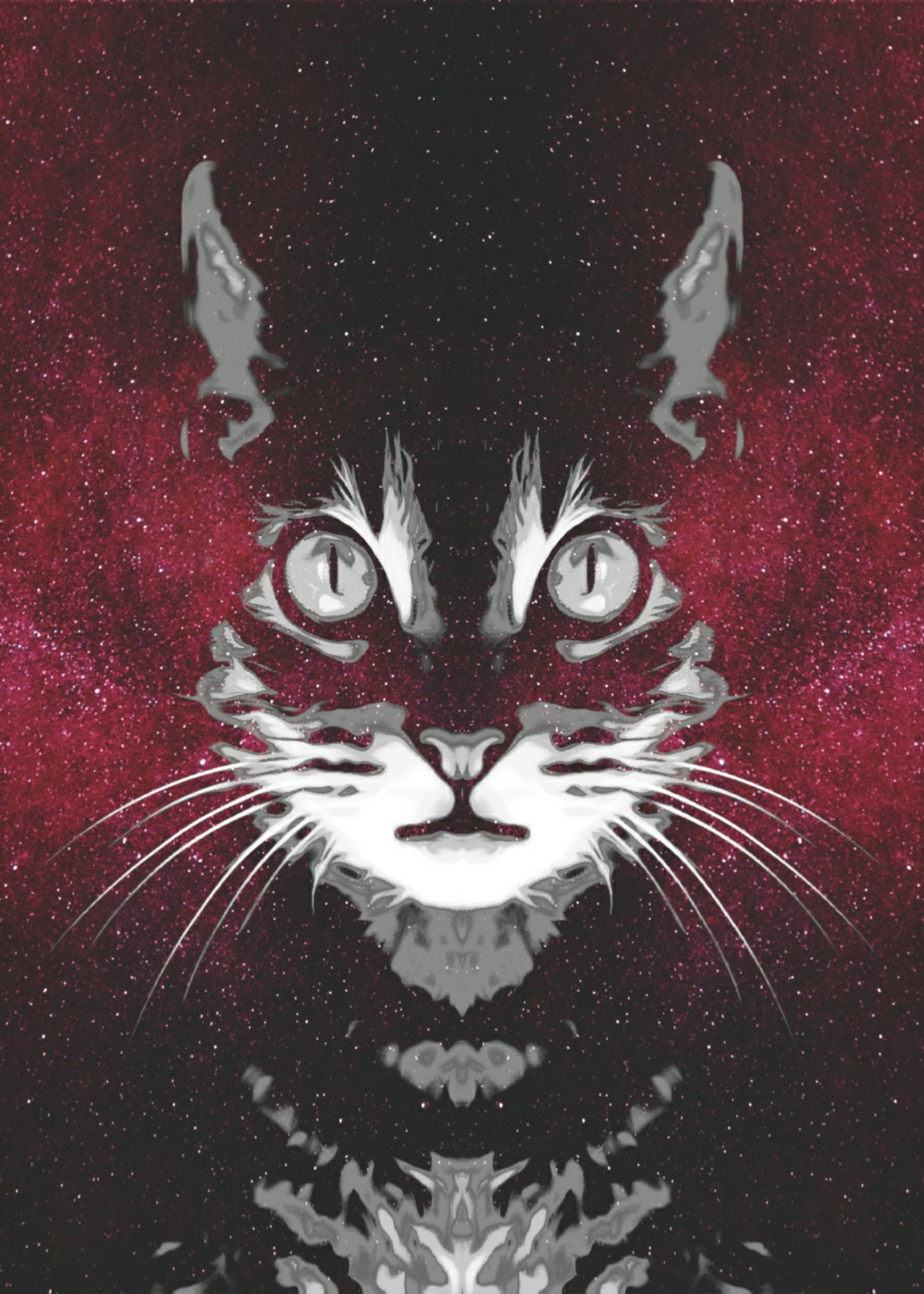 Galaxy Cat Digital Art Hanggara