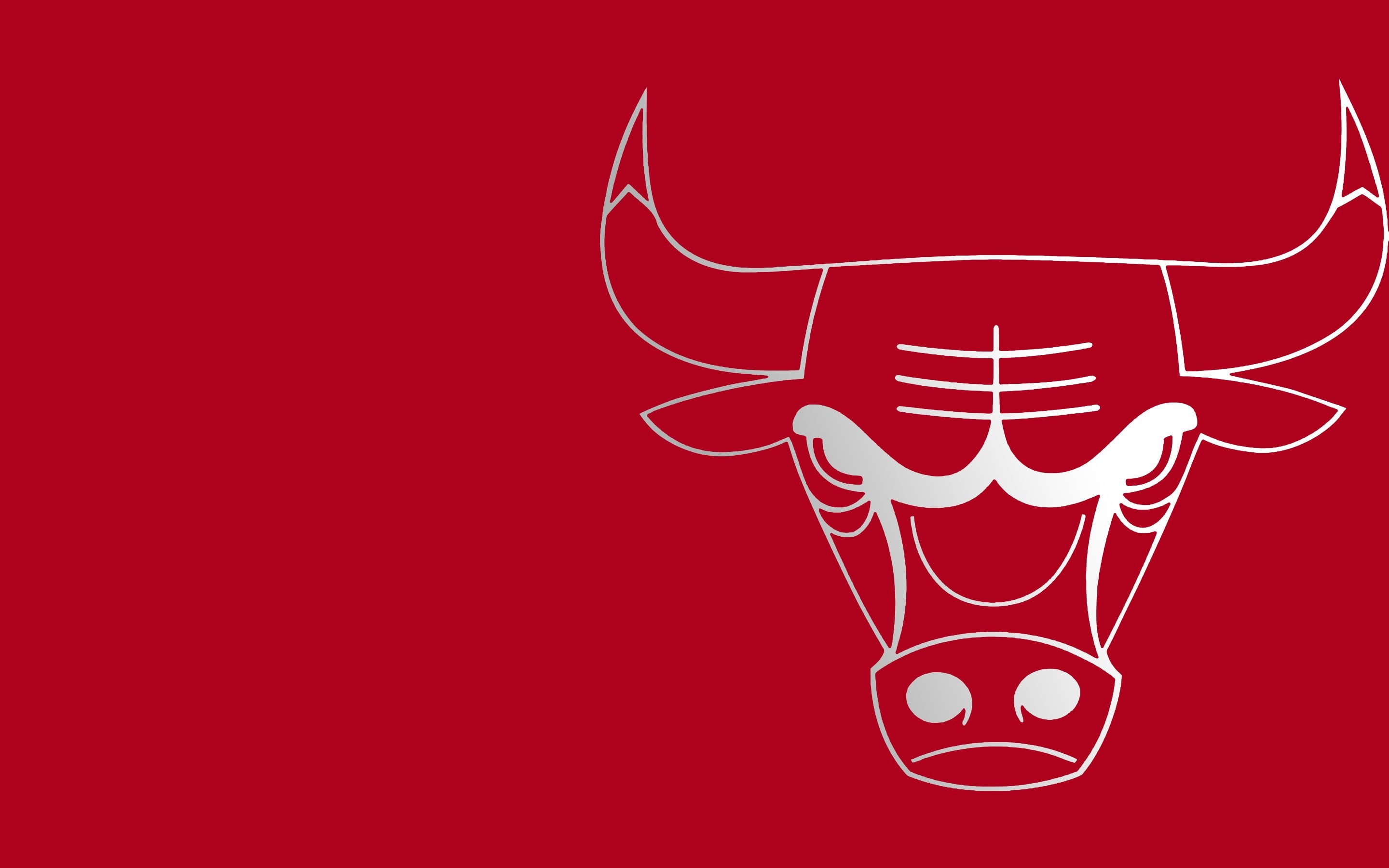 I made a Bulls wallpaper!