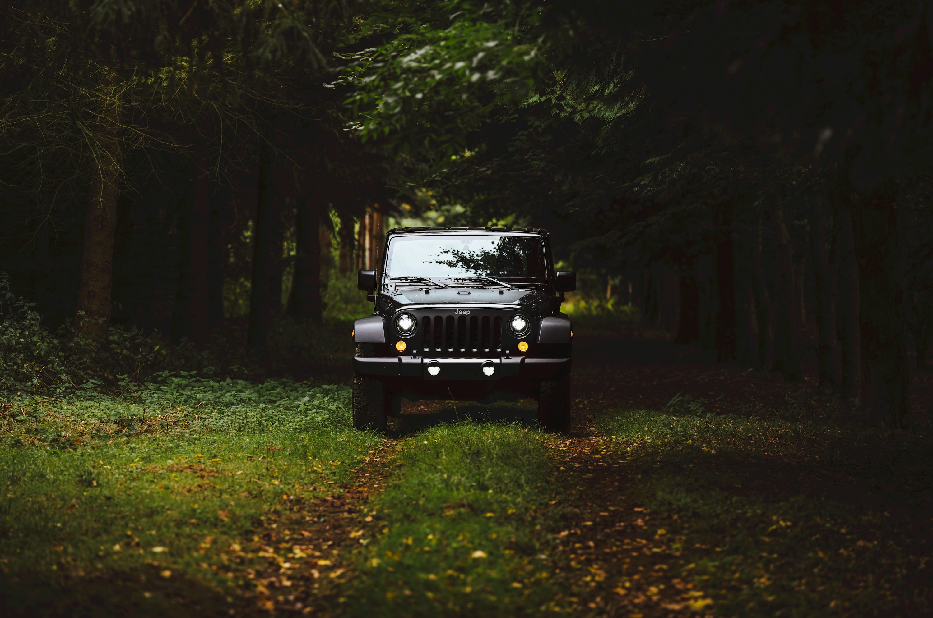 Jeep Picture [HD]. Download Free