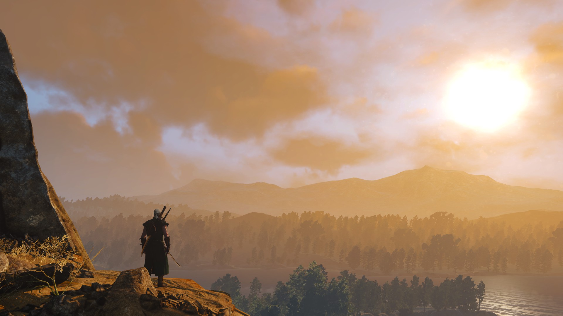 The Witcher 3: Wild Hunt background