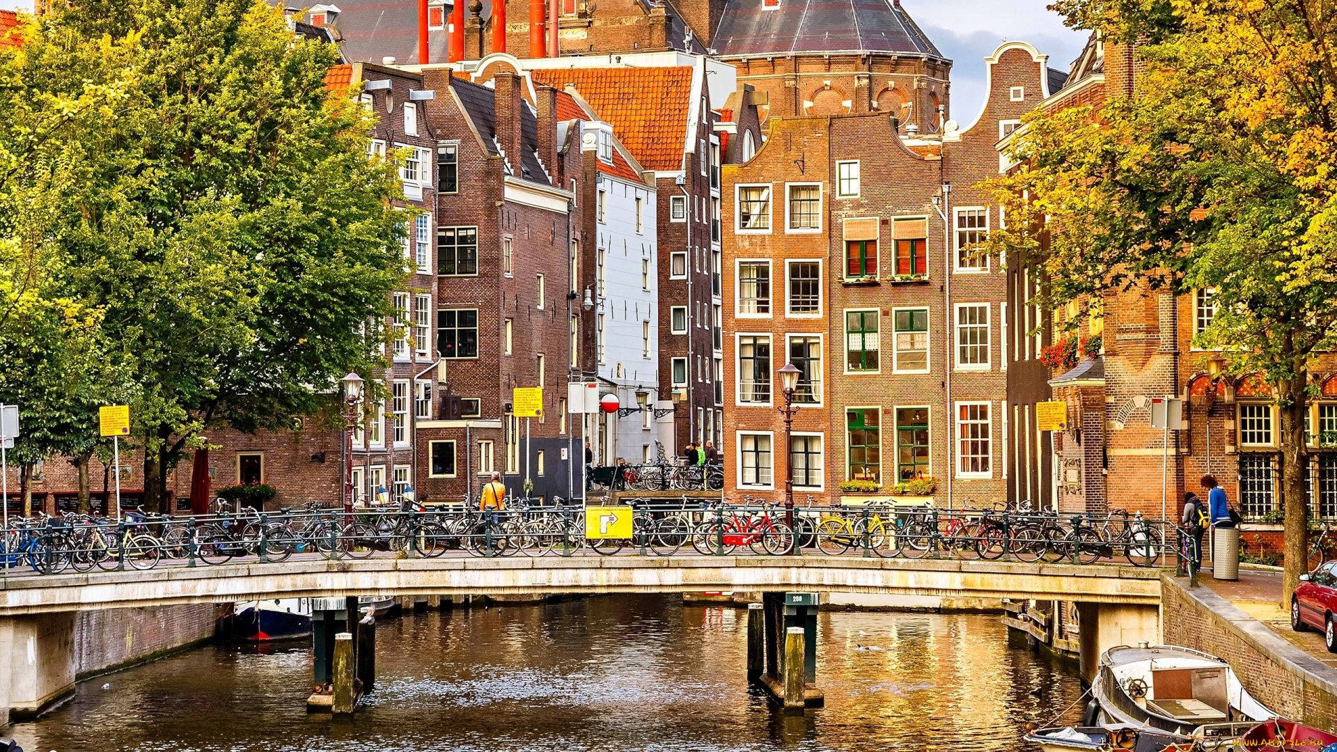 District Amsterdam Wallpaper