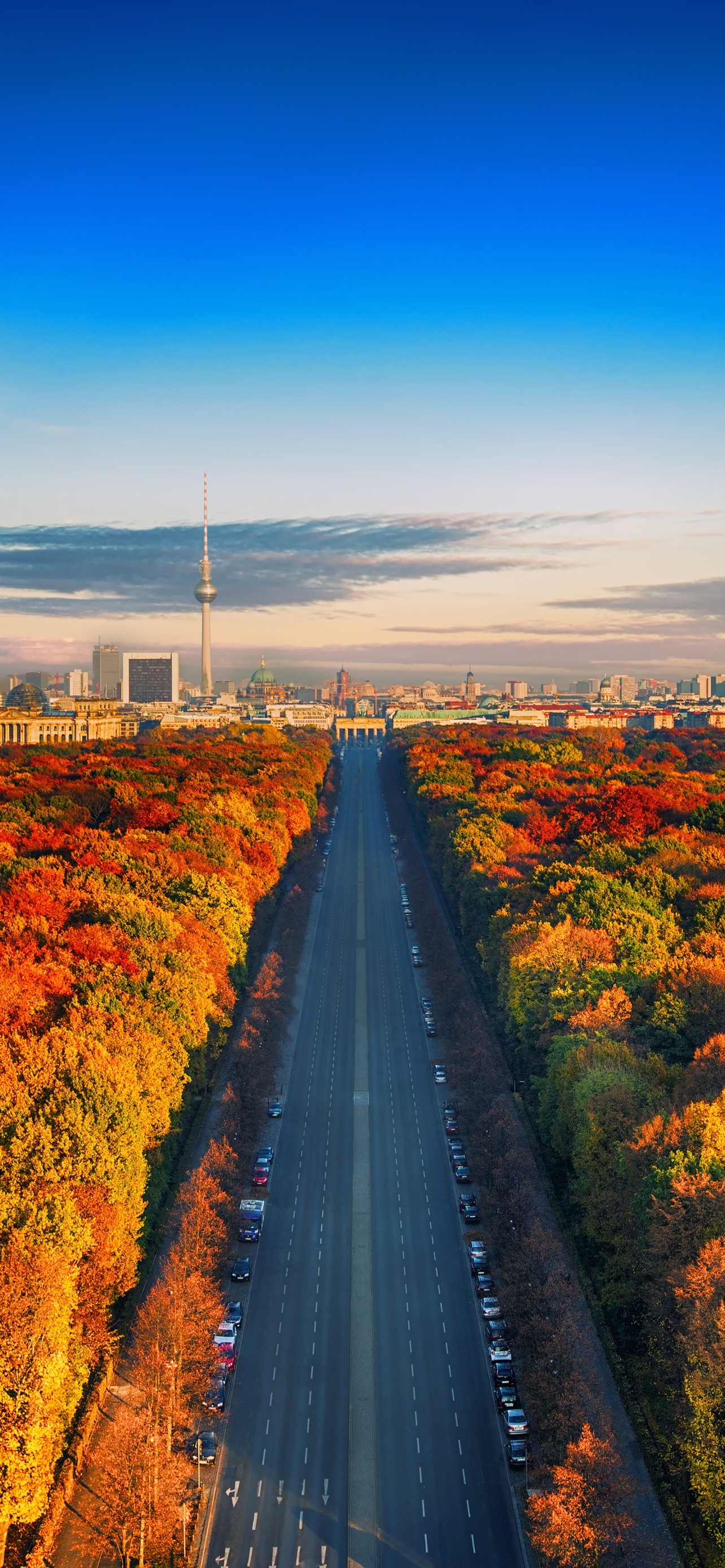 Autumn Trees Berlin City Skyline Germany Highway Colorful Europe
